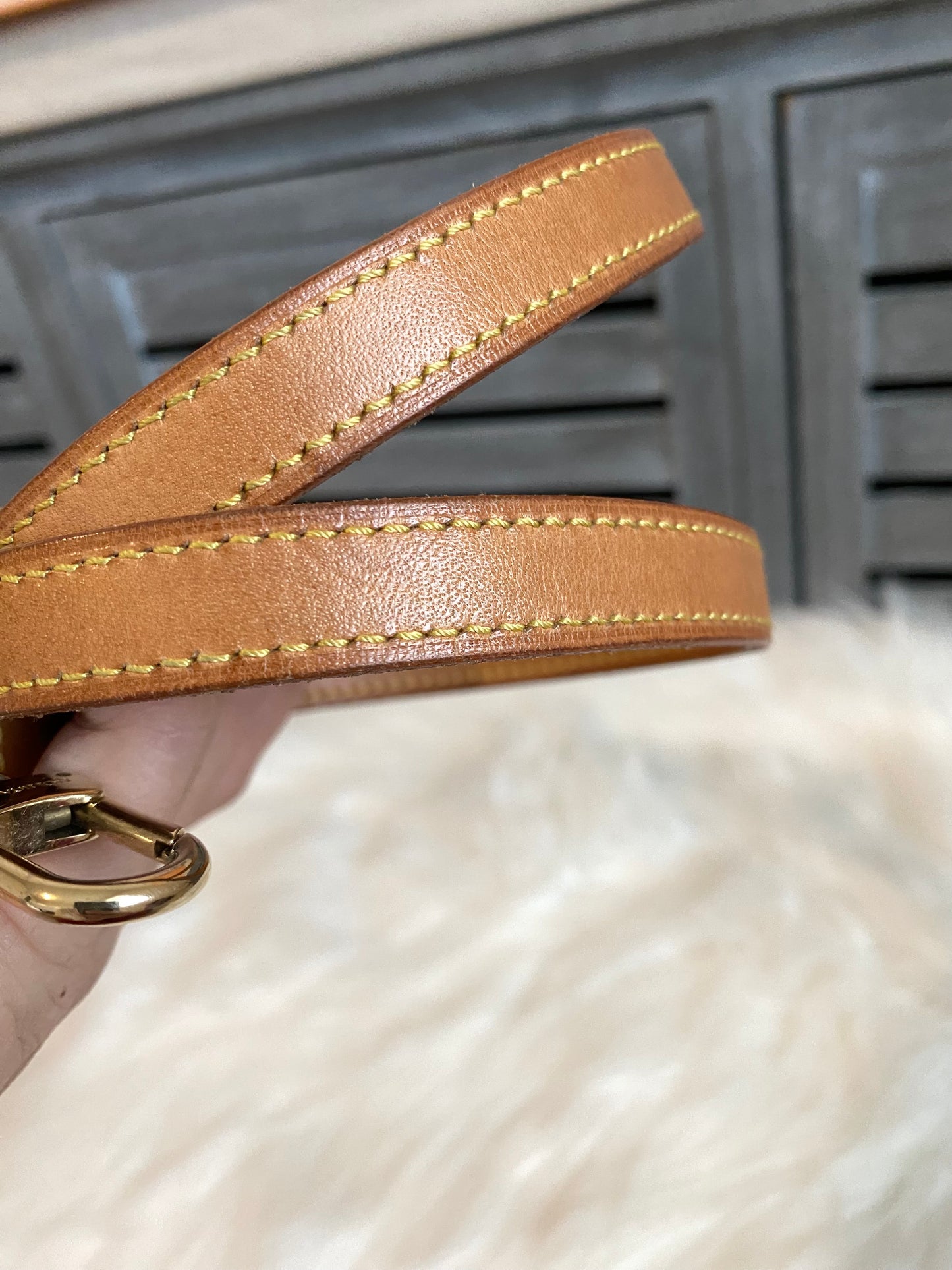 Louis Vuitton Alma PM
