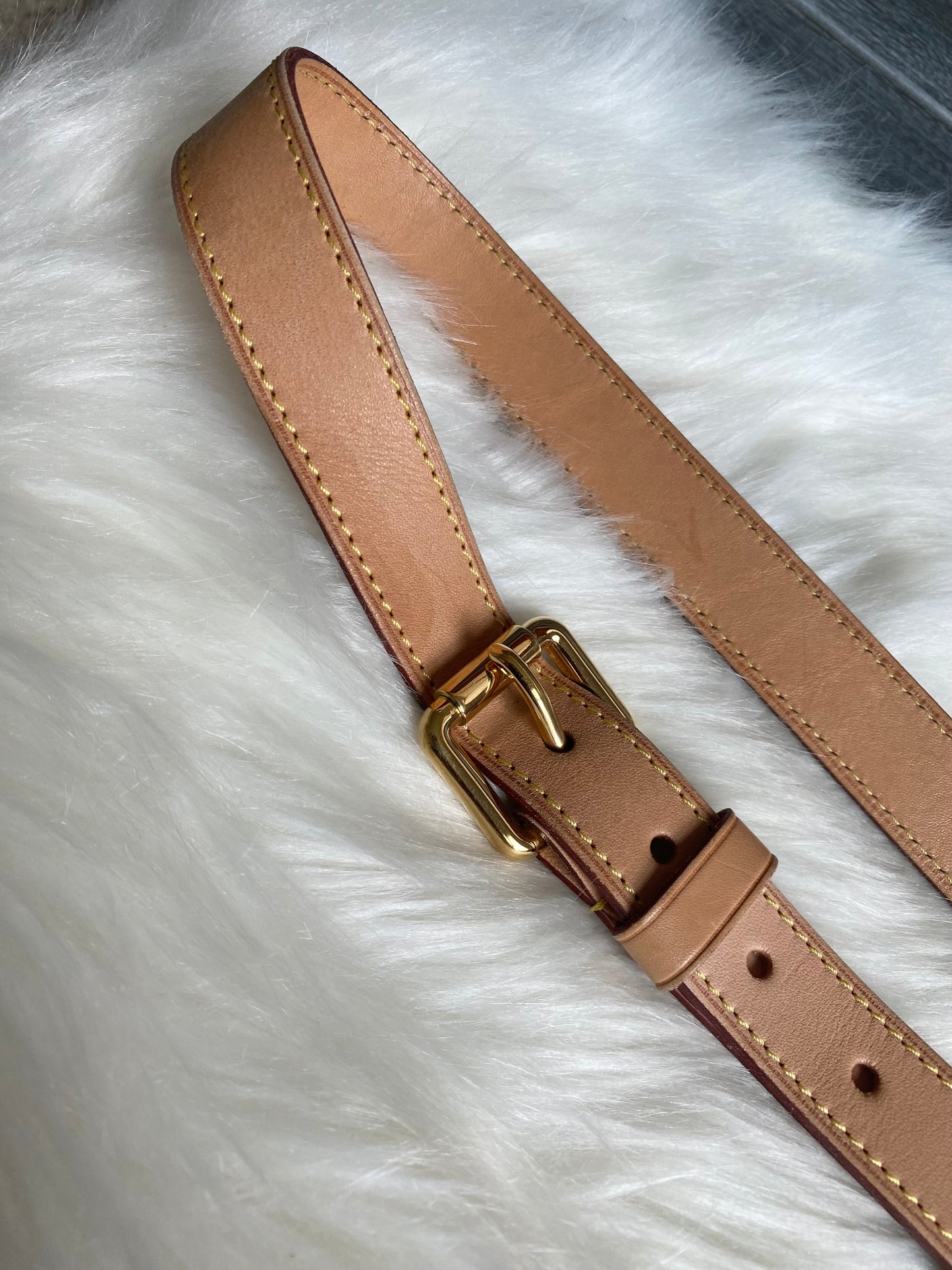 Louis Vuitton Blue Denim Daily GM