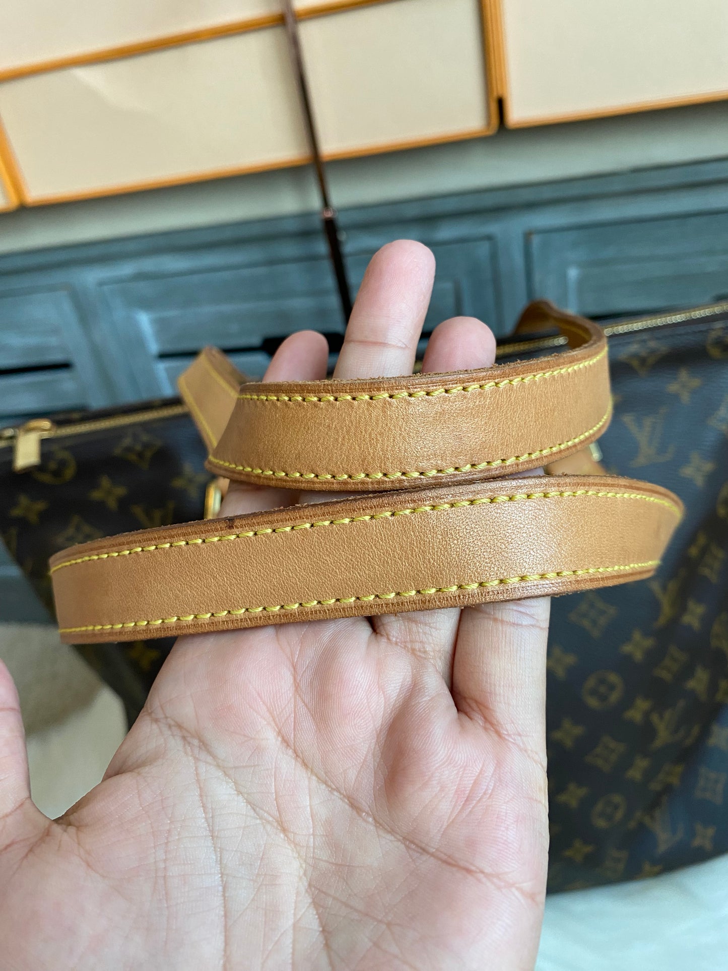 Louis Vuitton Cabas Mezzo