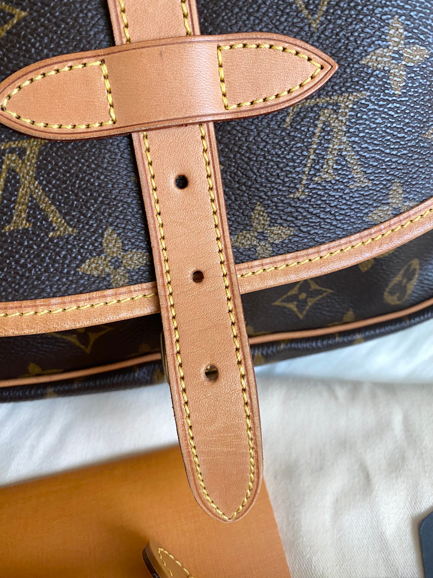 Louis Vuitton Saumur 30