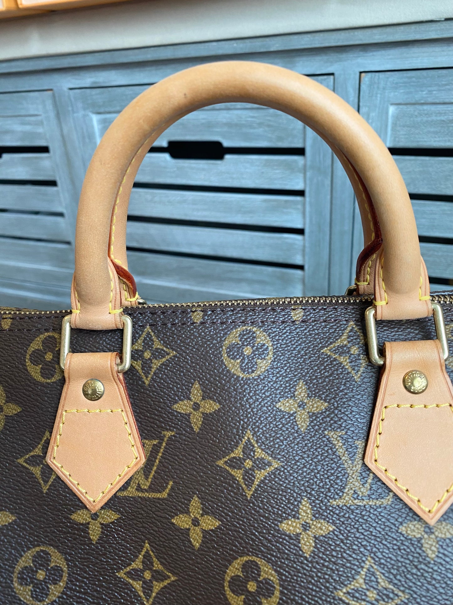 Louis Vuitton Speedy 30