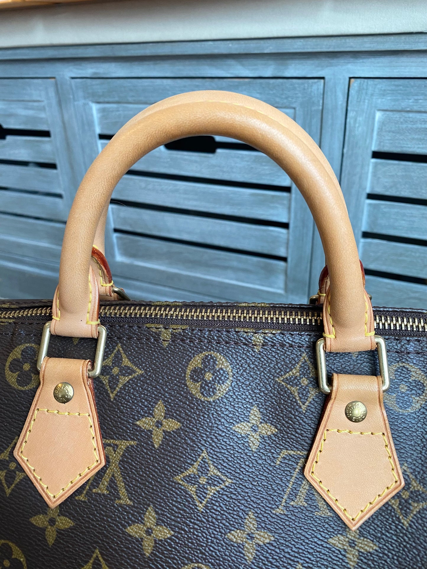 Louis Vuitton Speedy 30