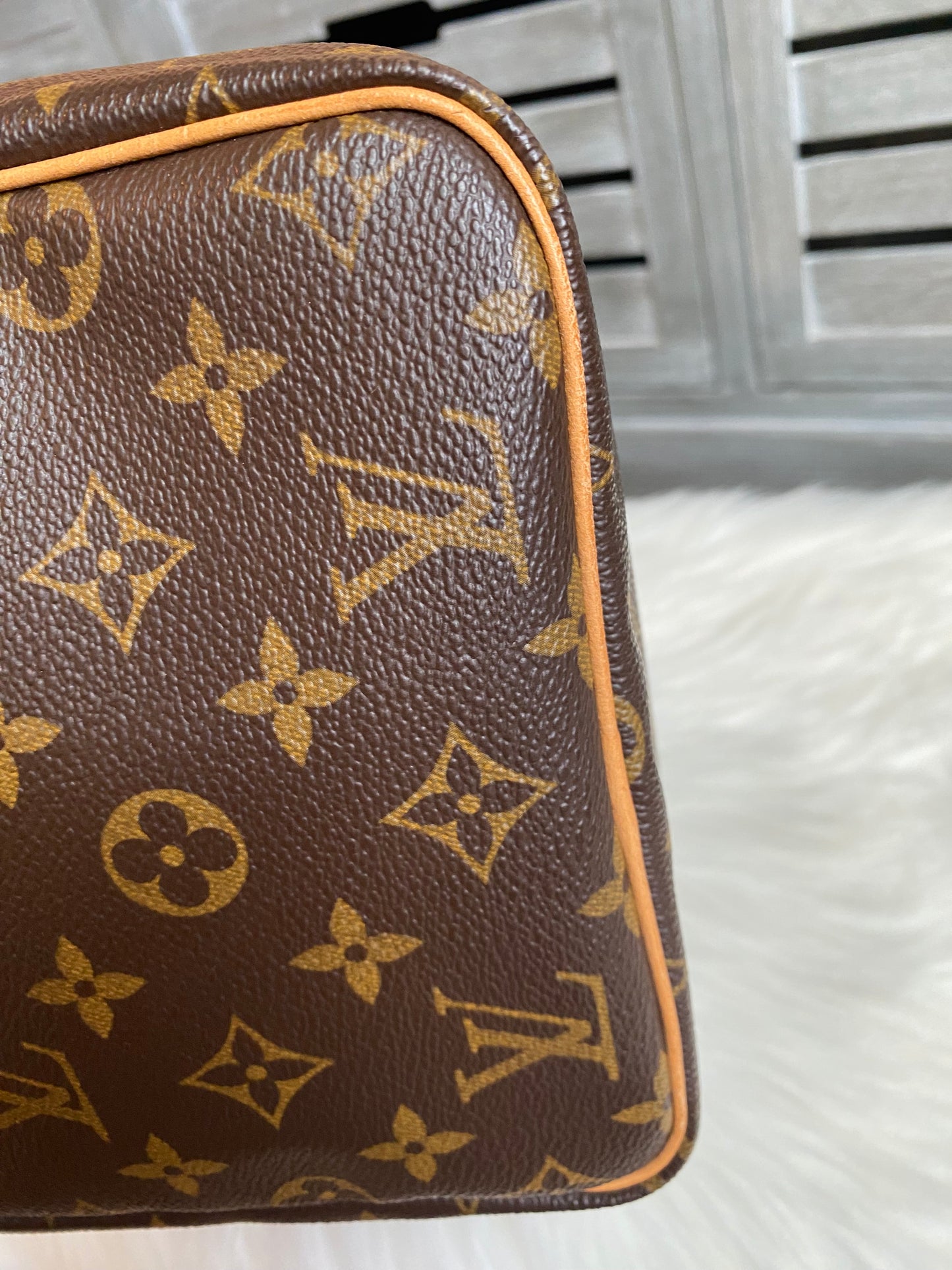 Louis Vuitton Speedy 30