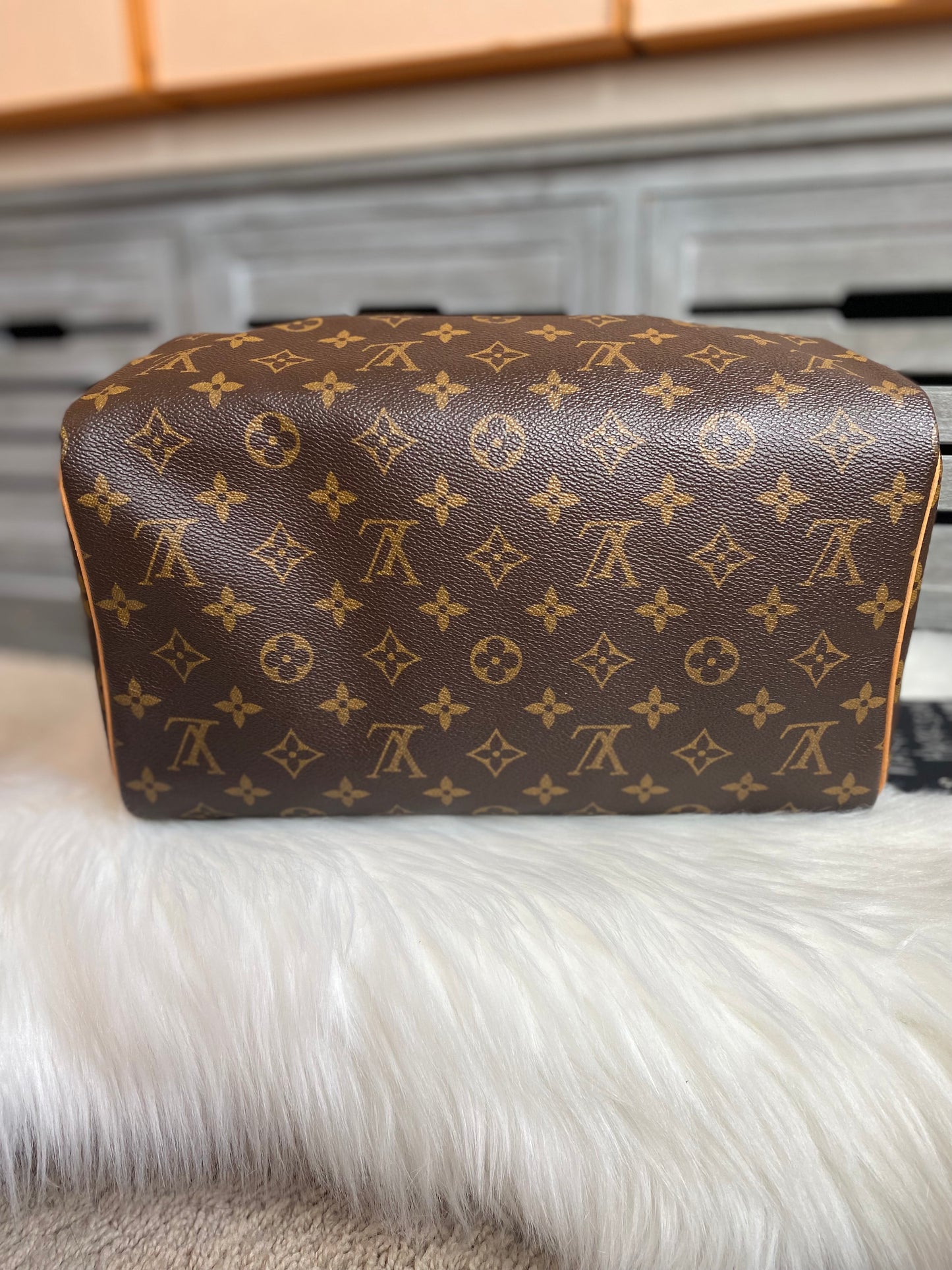 Louis Vuitton Speedy 30