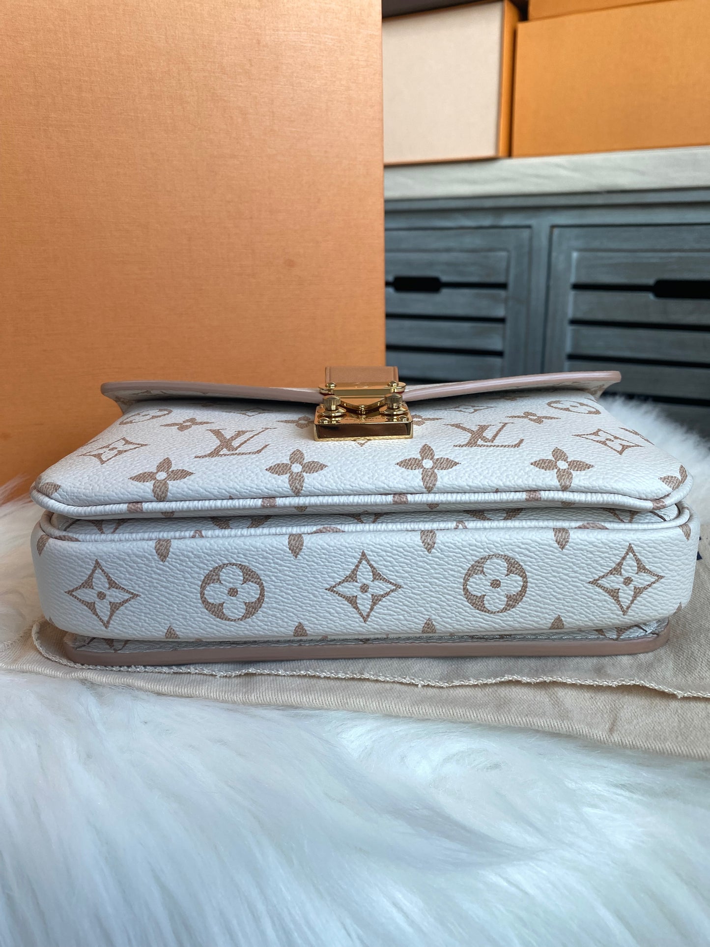 Louis Vuitton Pochette Metis East West Dune