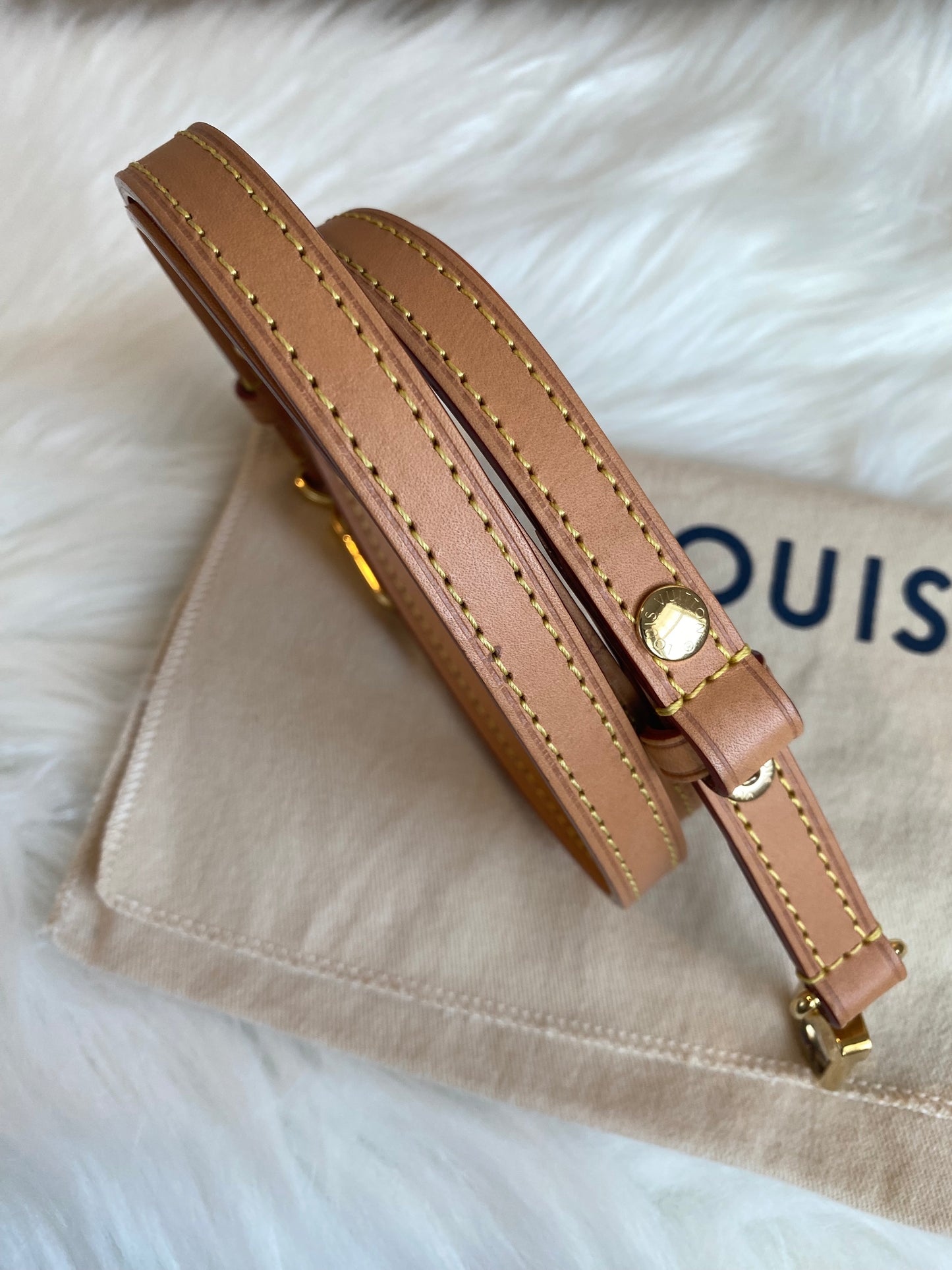 Louis Vuitton Pochette Metis East West Dune