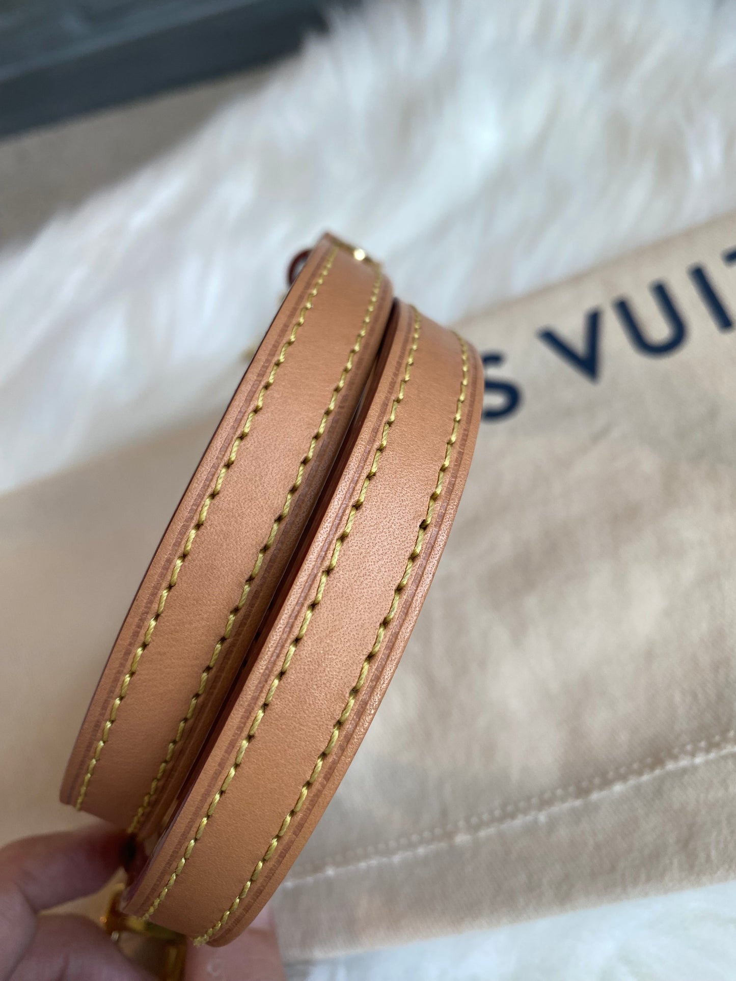 Louis Vuitton Pochette Metis East West Dune