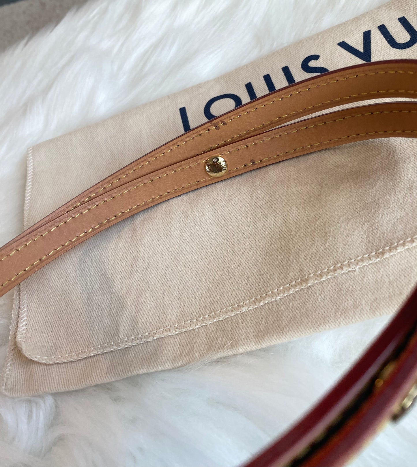 Louis Vuitton Pochette Metis East West Dune