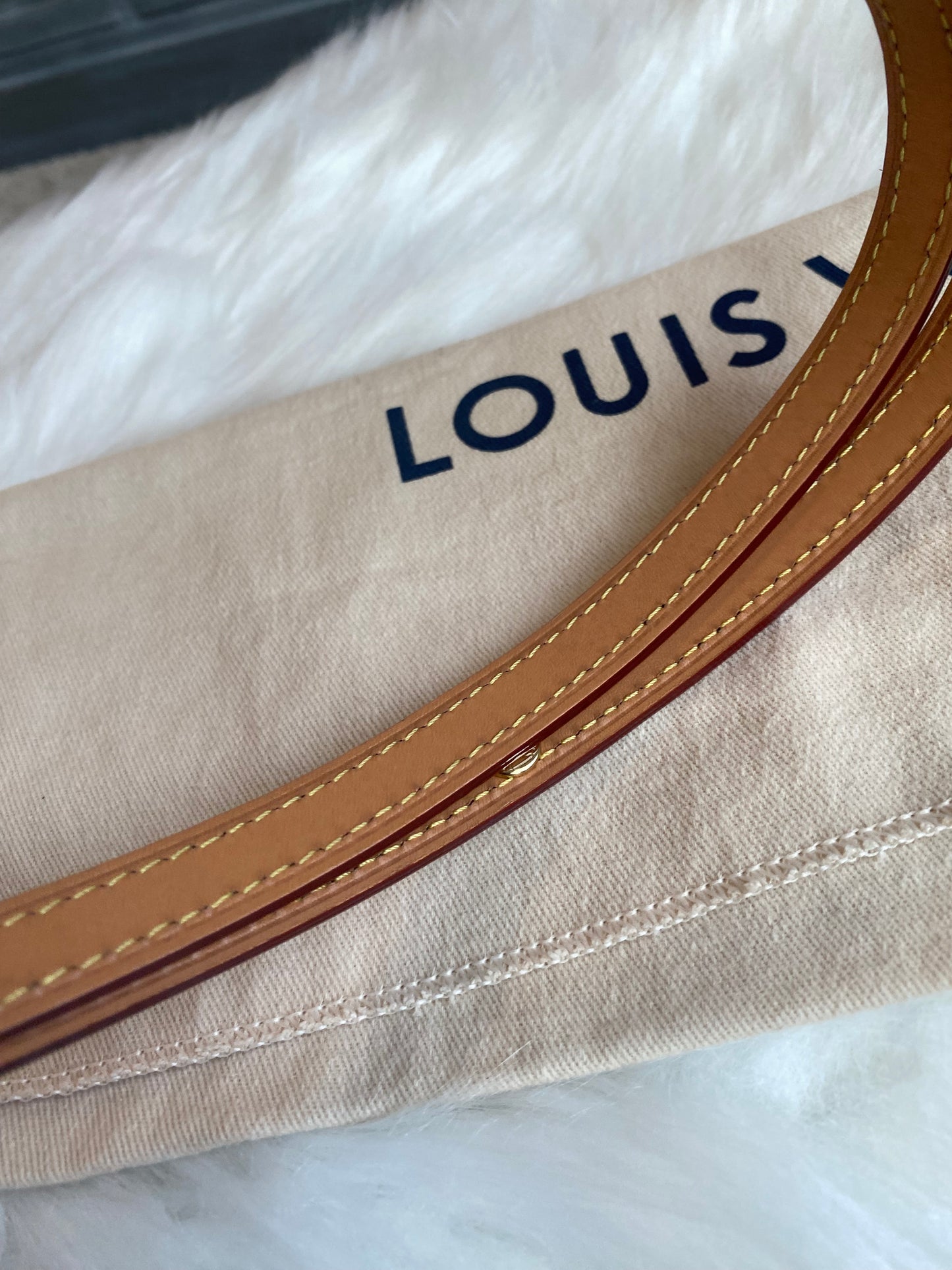 Louis Vuitton Pochette Metis East West Dune