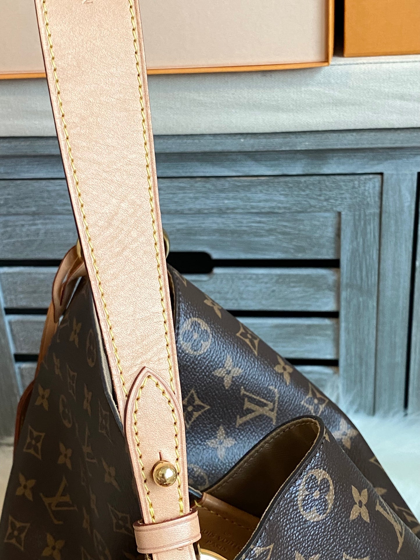 Louis Vuitton Graceful MM Beige Interior