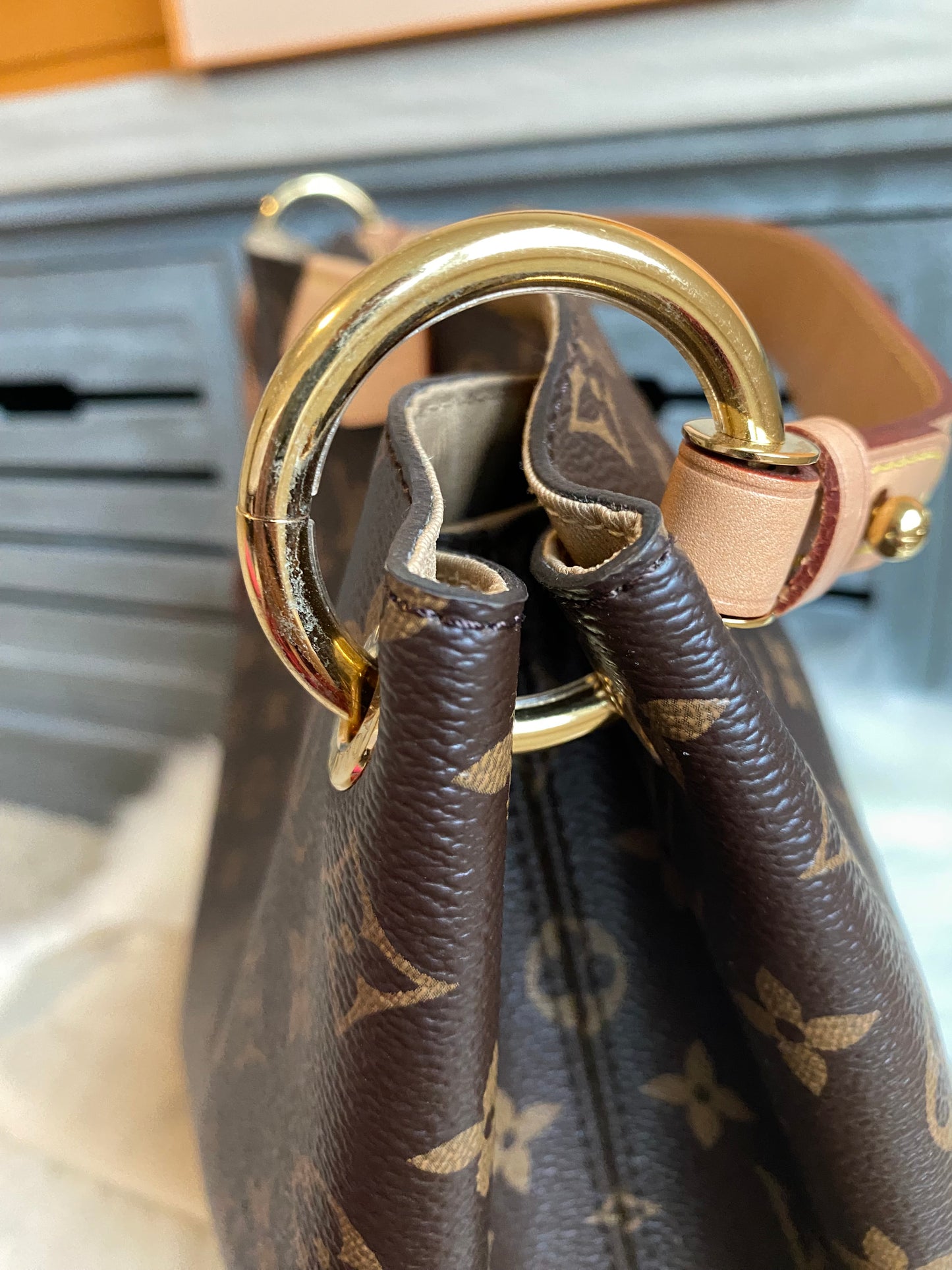 Louis Vuitton Graceful MM Beige Interior