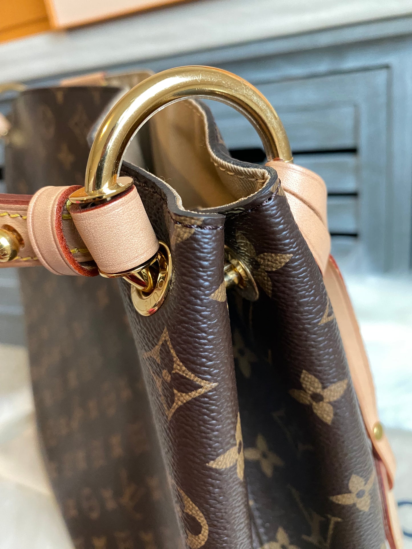 Louis Vuitton Graceful MM Beige Interior