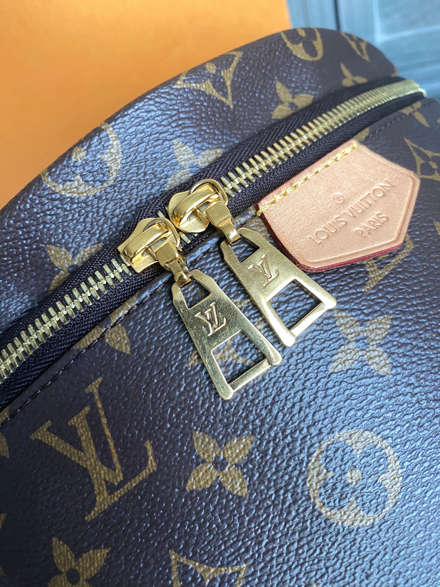 Louis Vuitton Monogram Bumbag