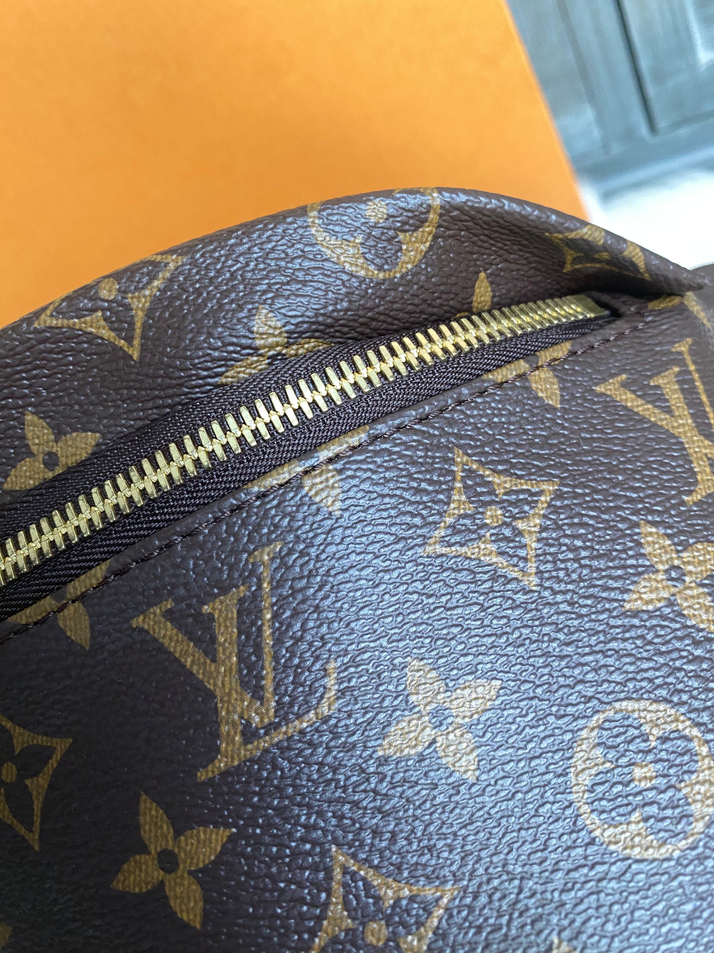Louis Vuitton Monogram Bumbag