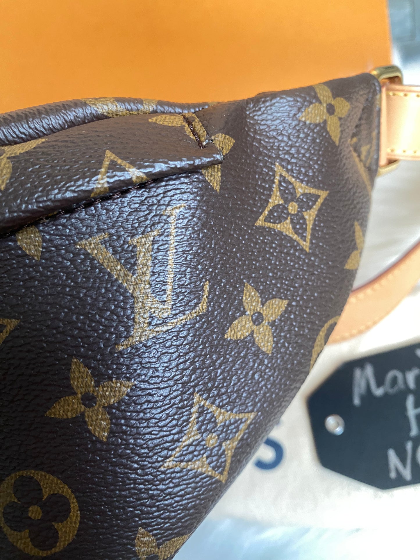 Louis Vuitton Monogram Bumbag