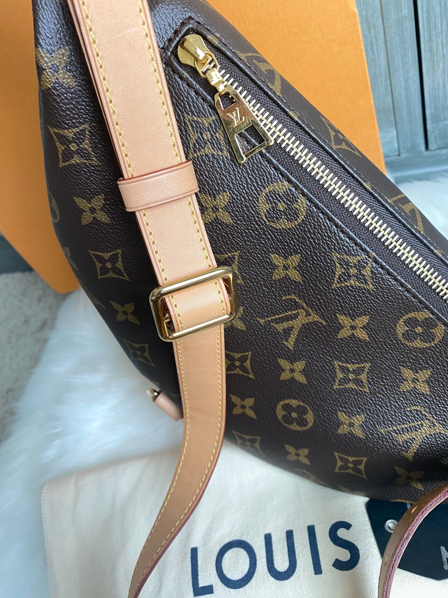 Louis Vuitton Monogram Bumbag