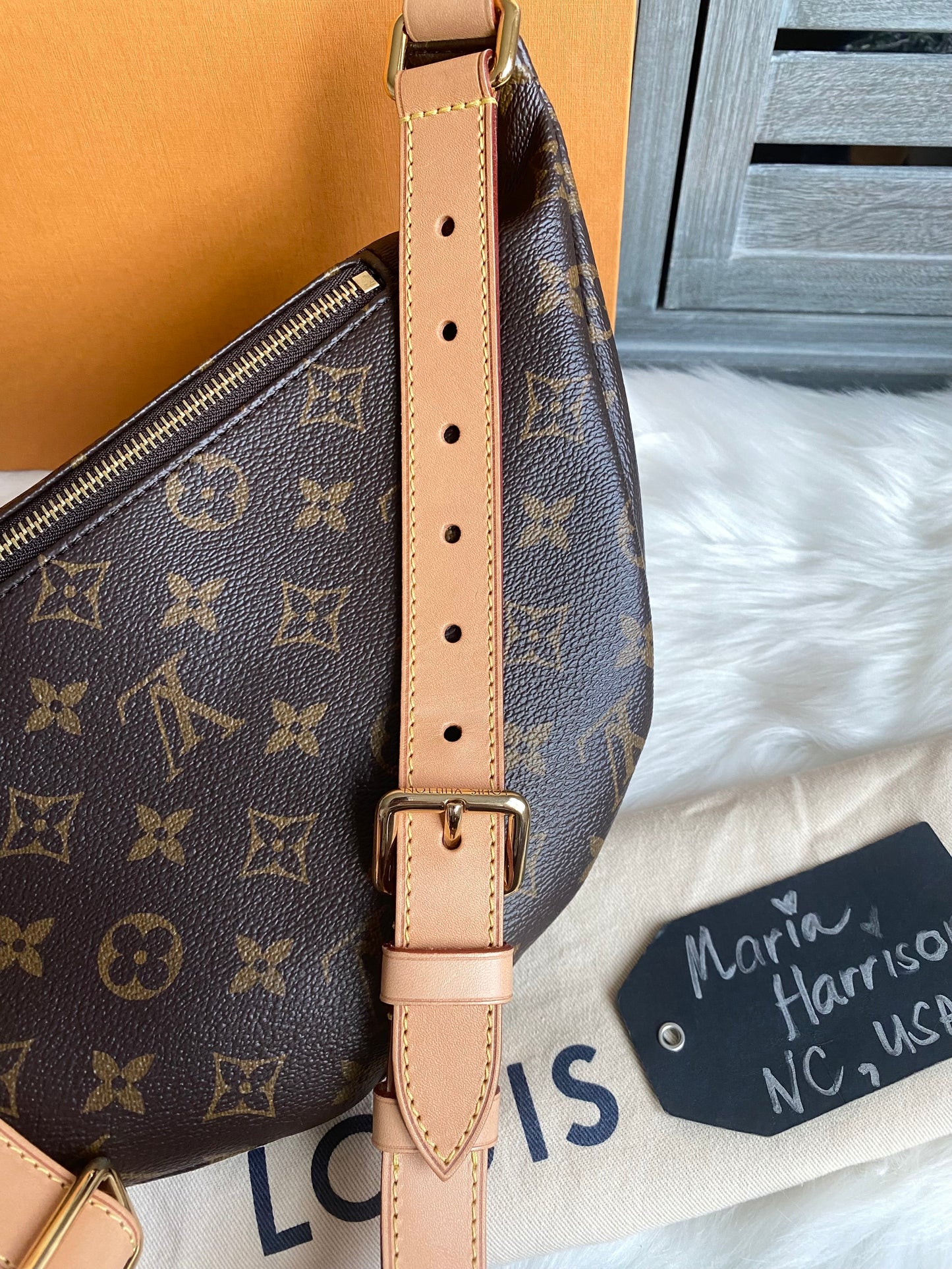 Louis Vuitton Monogram Bumbag