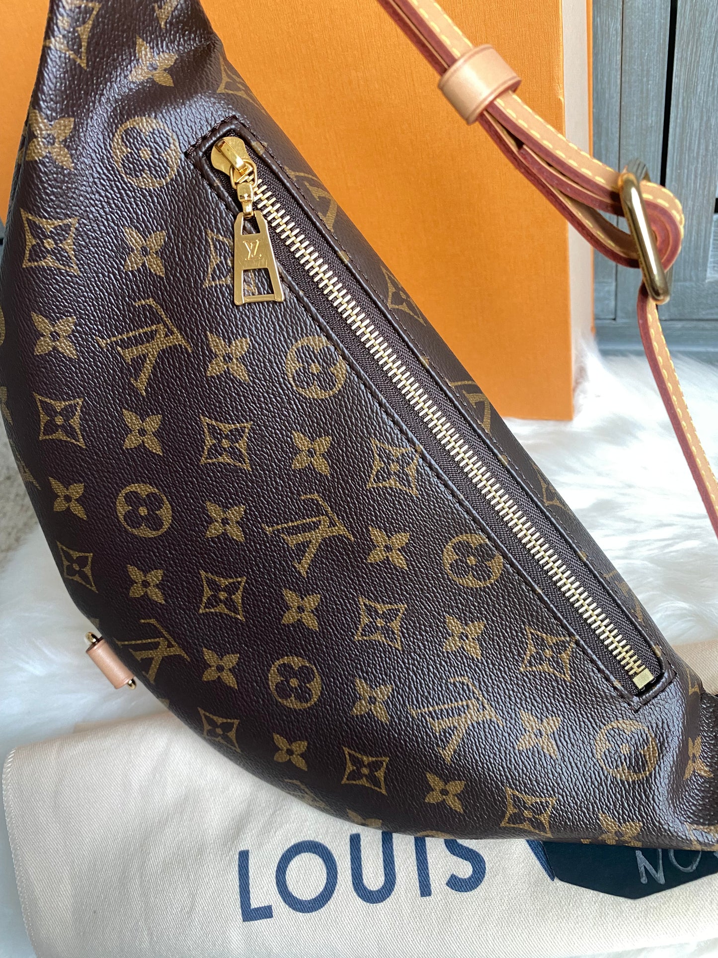 Louis Vuitton Monogram Bumbag