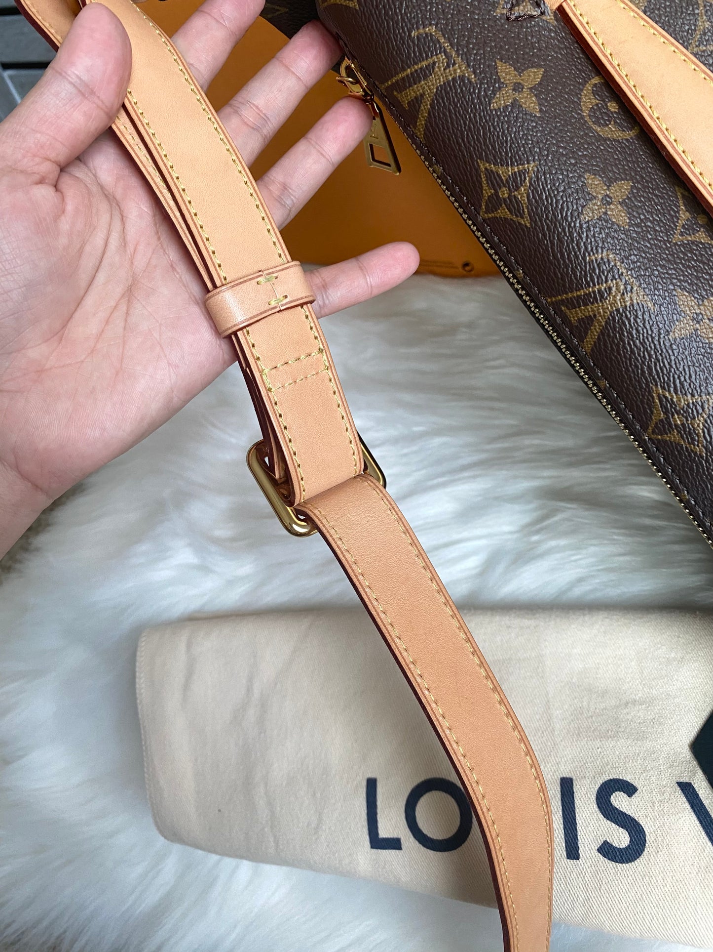 Louis Vuitton Monogram Bumbag