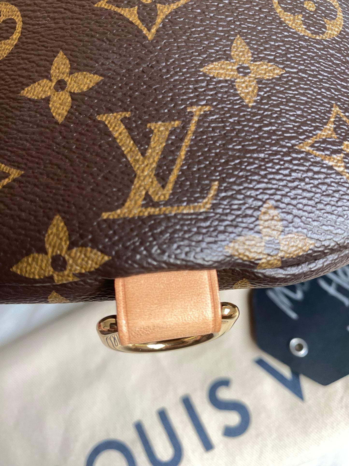 Louis Vuitton Monogram Bumbag