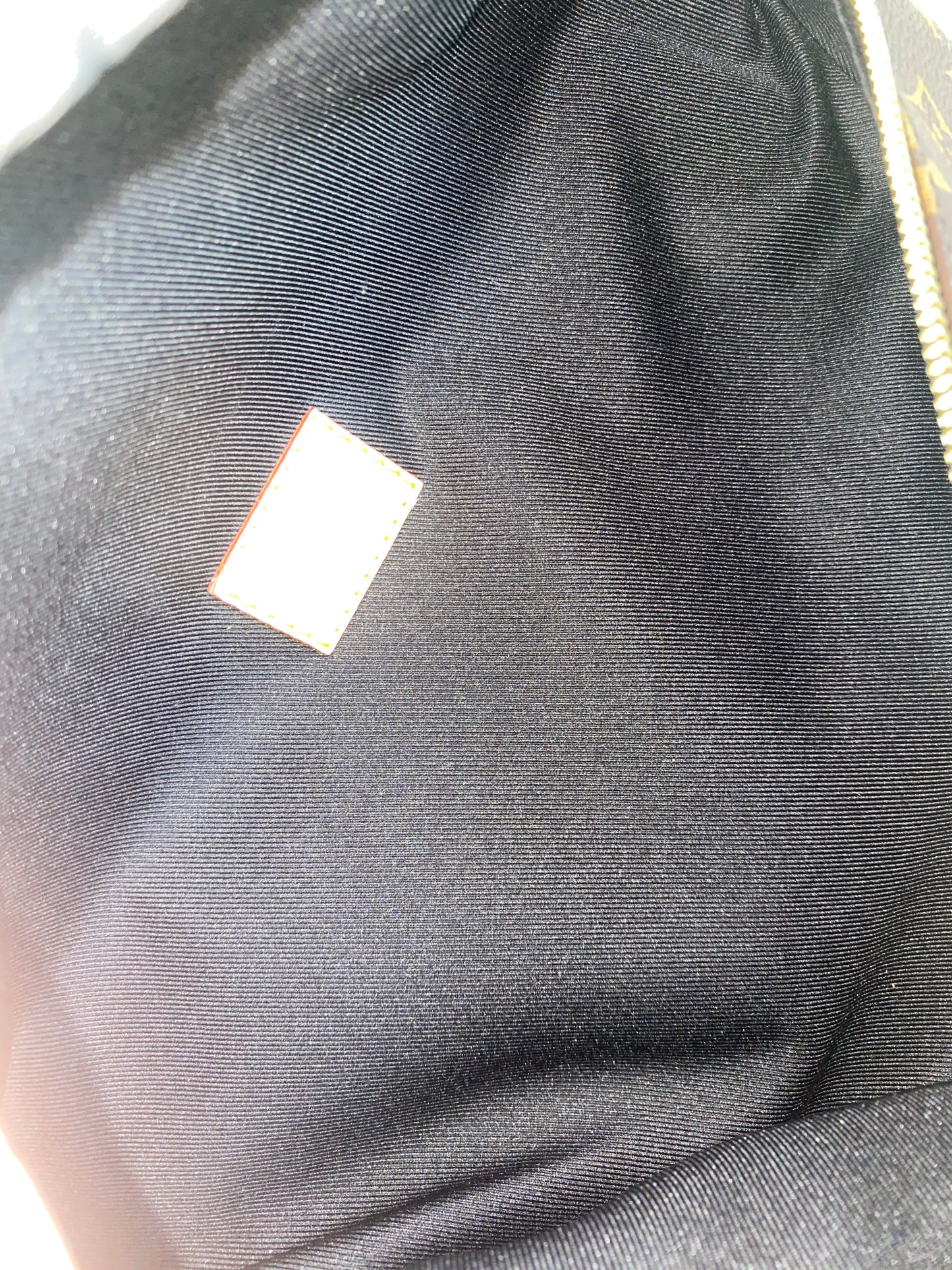 Louis Vuitton Monogram Bumbag