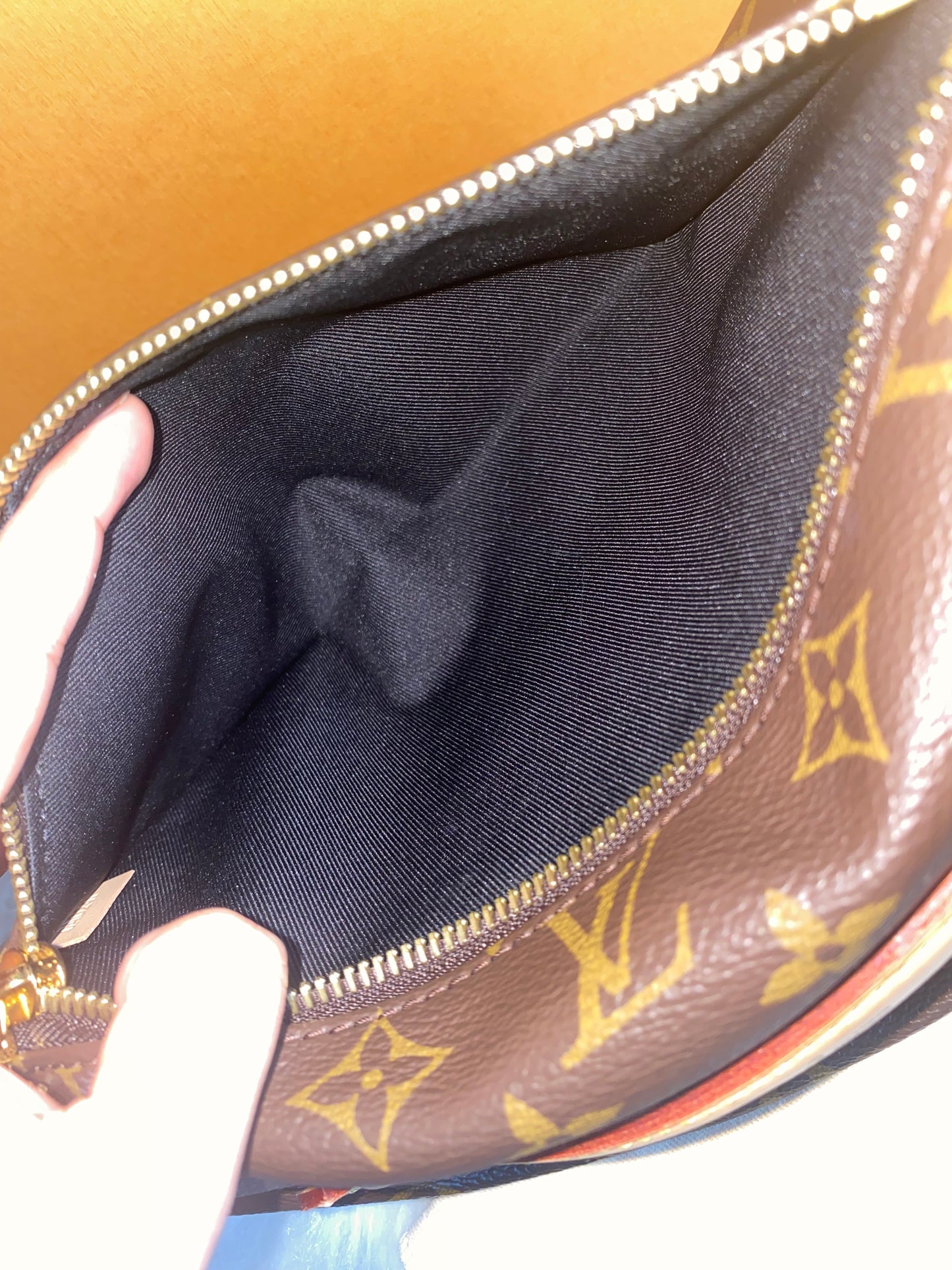 Louis Vuitton Monogram Bumbag