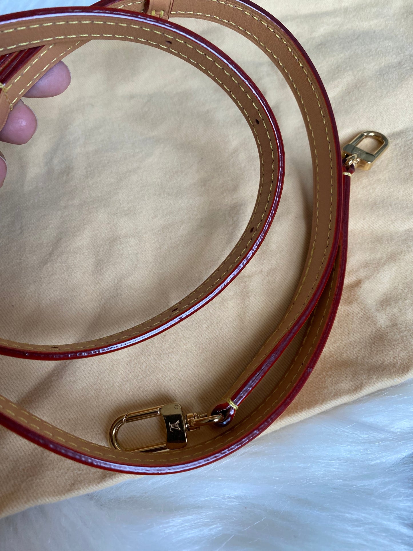 Louis Vuitton Mini Bumbag