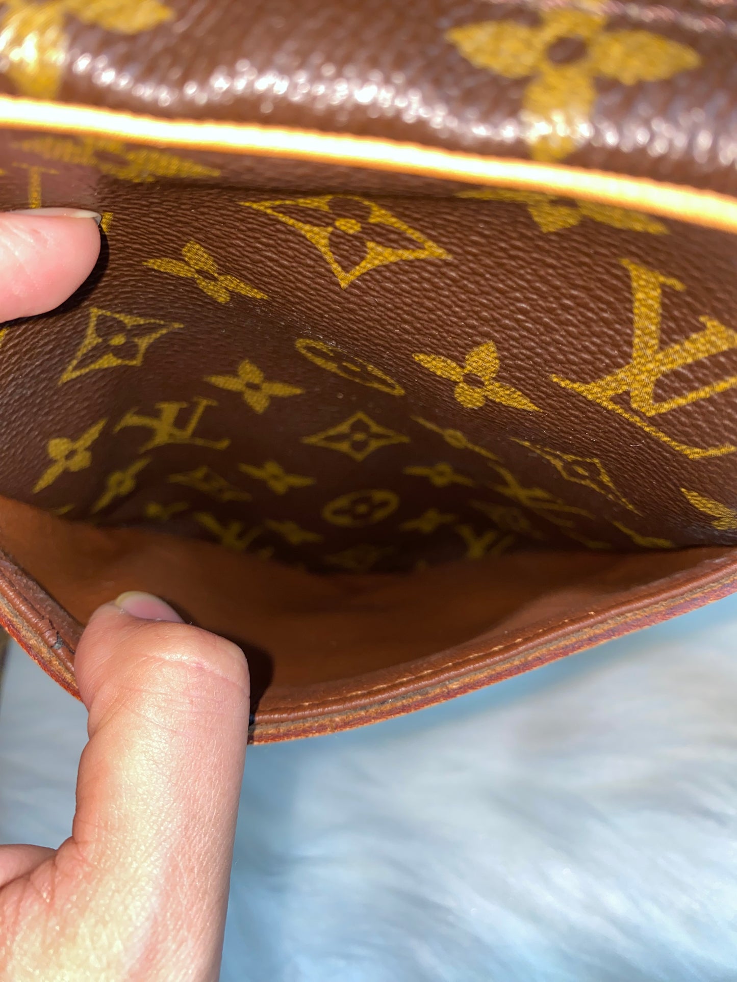 Louis Vuitton Danube PM Crossbody