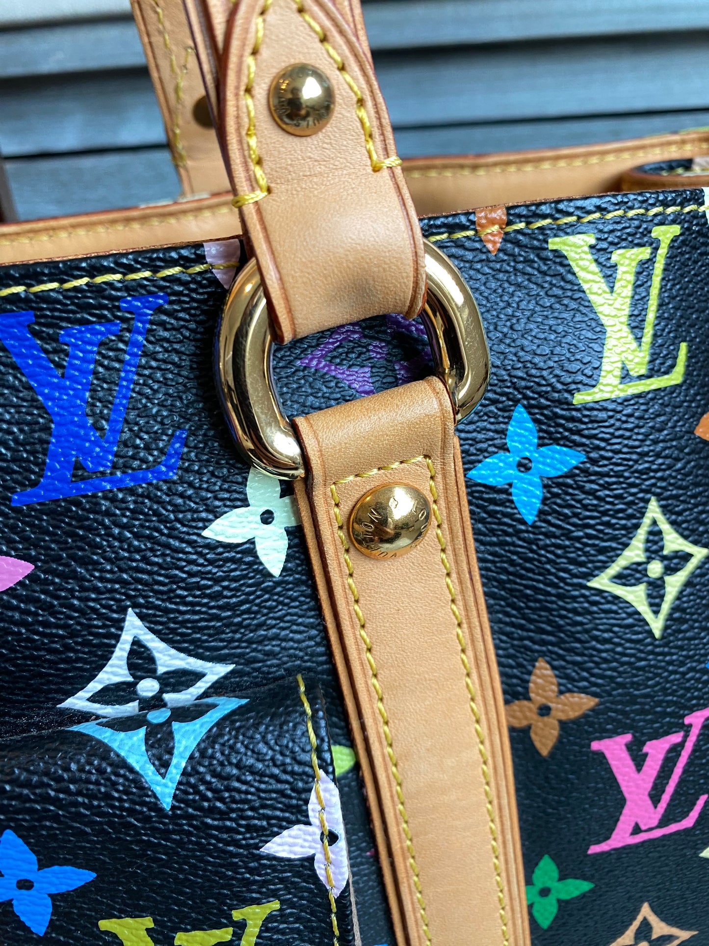 Louis Vuitton TM x Aurelia GM Black Multicolor With Pouch