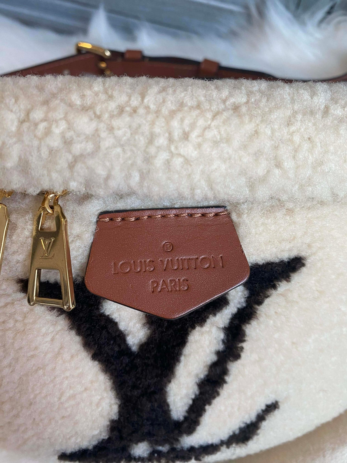 Louis Vuitton Teddy Shearling Bumbag