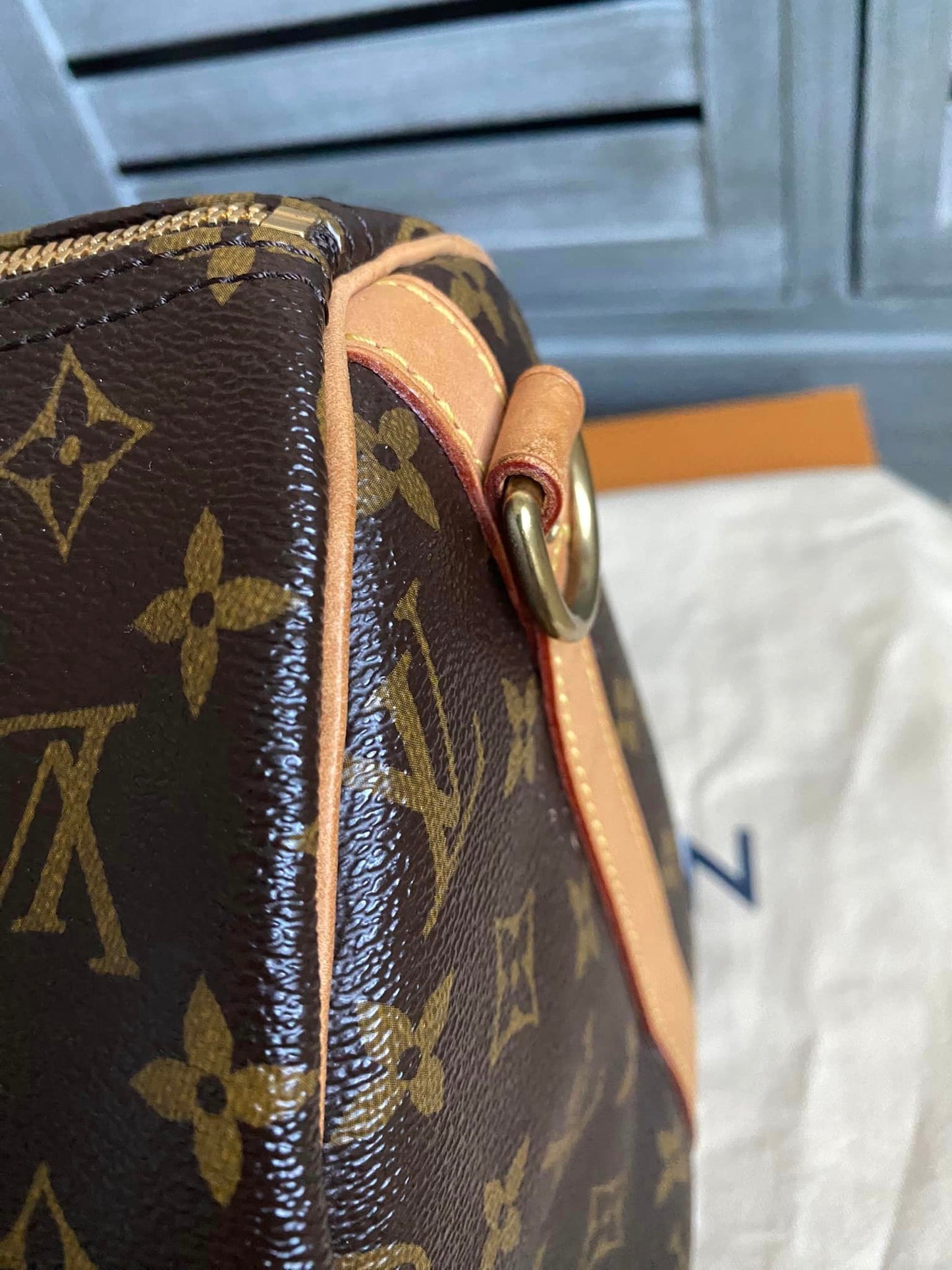 Louis Vuitton Speedy 30 Bandolier
