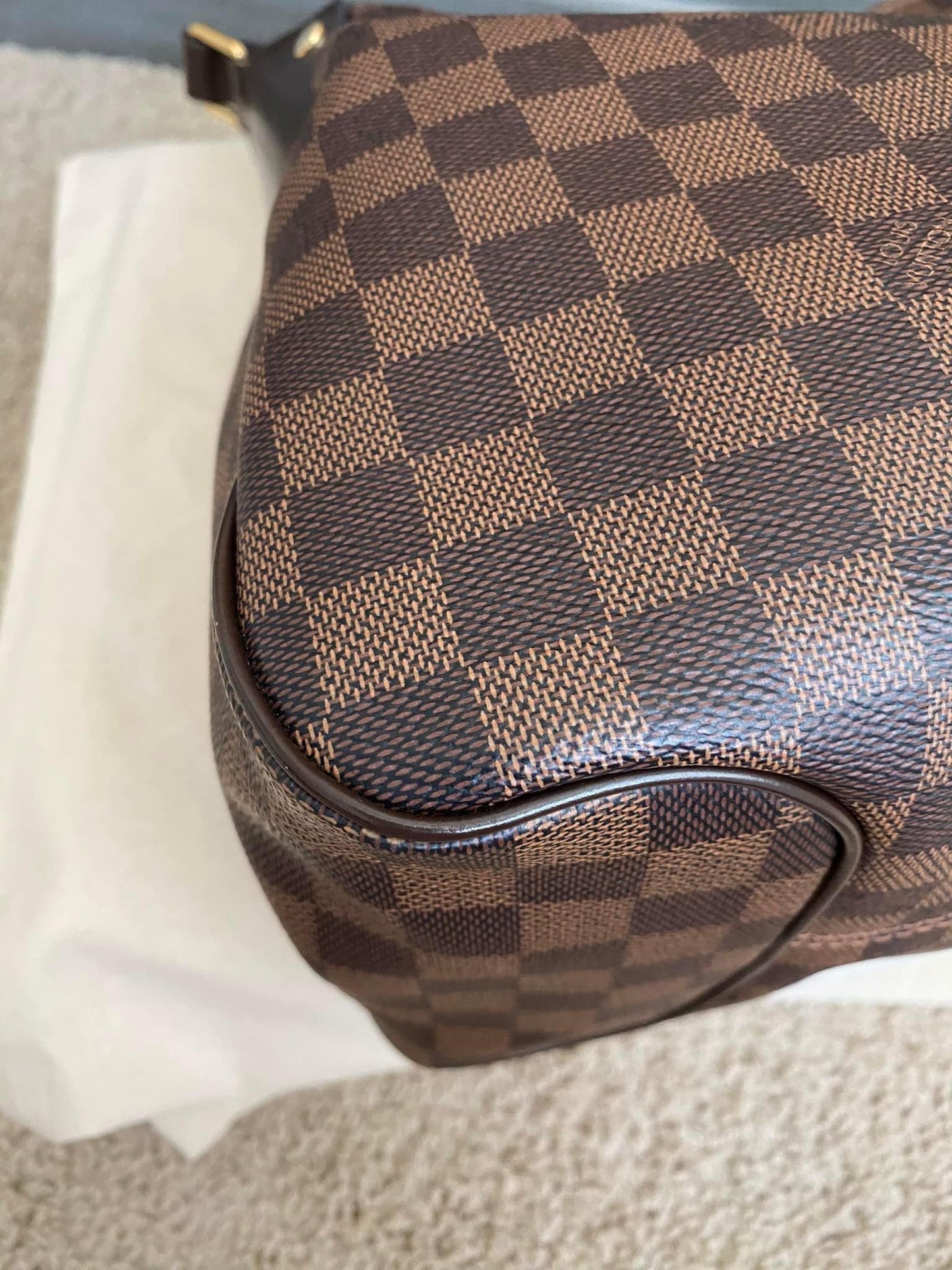 Louis Vuitton Reggia Hobo Damiere Ebene