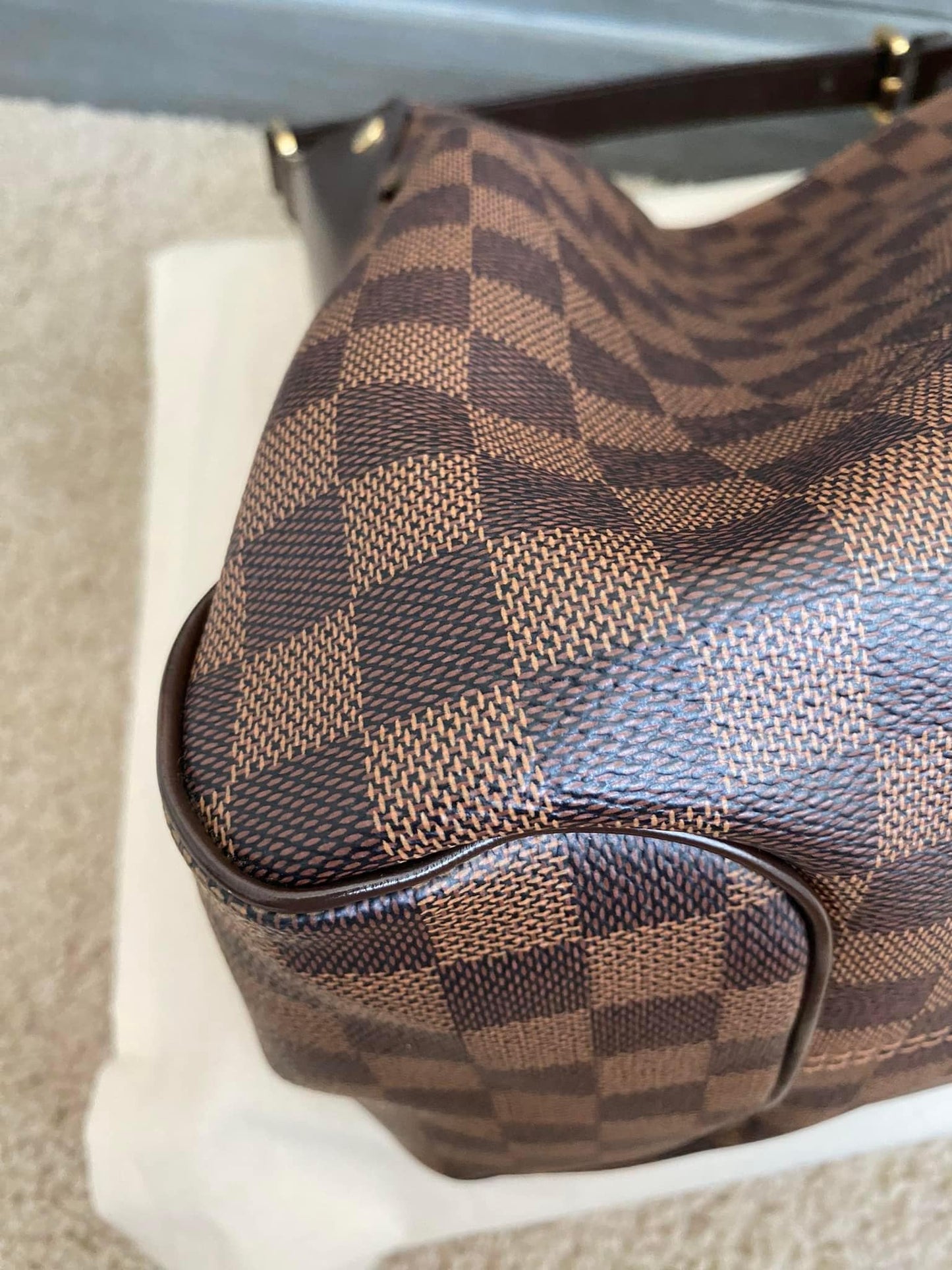 Louis Vuitton Reggia Hobo Damiere Ebene