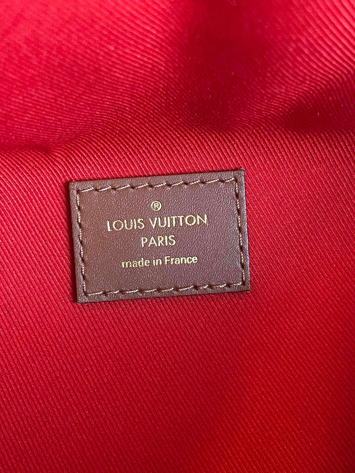 Louis Vuitton Teddy Shearling Bumbag