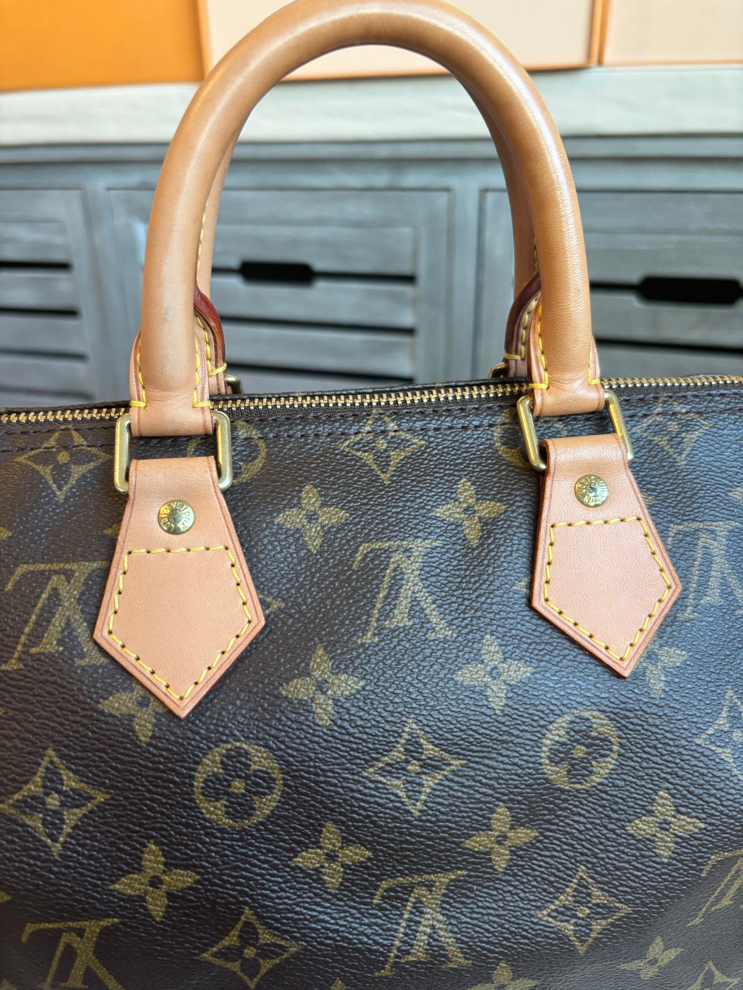 Louis Vuitton Speedy 25
