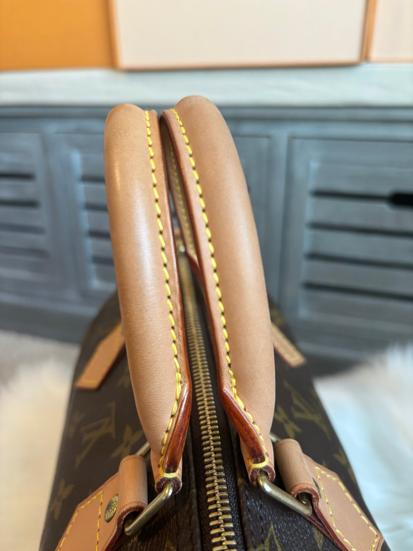 Louis Vuitton Speedy 25