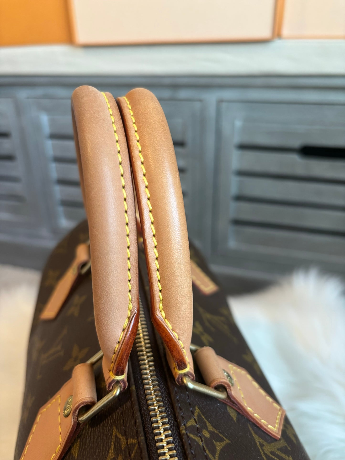 Louis Vuitton Speedy 25
