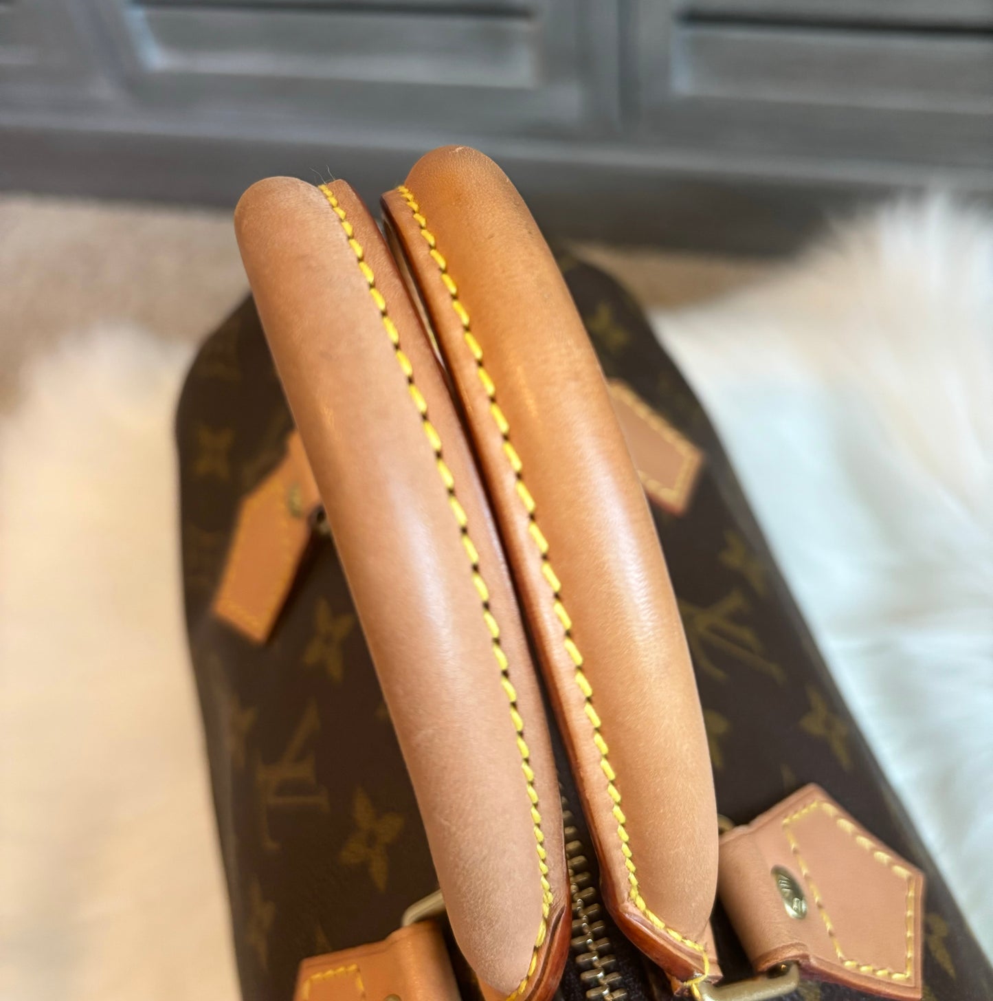 Louis Vuitton Speedy 25