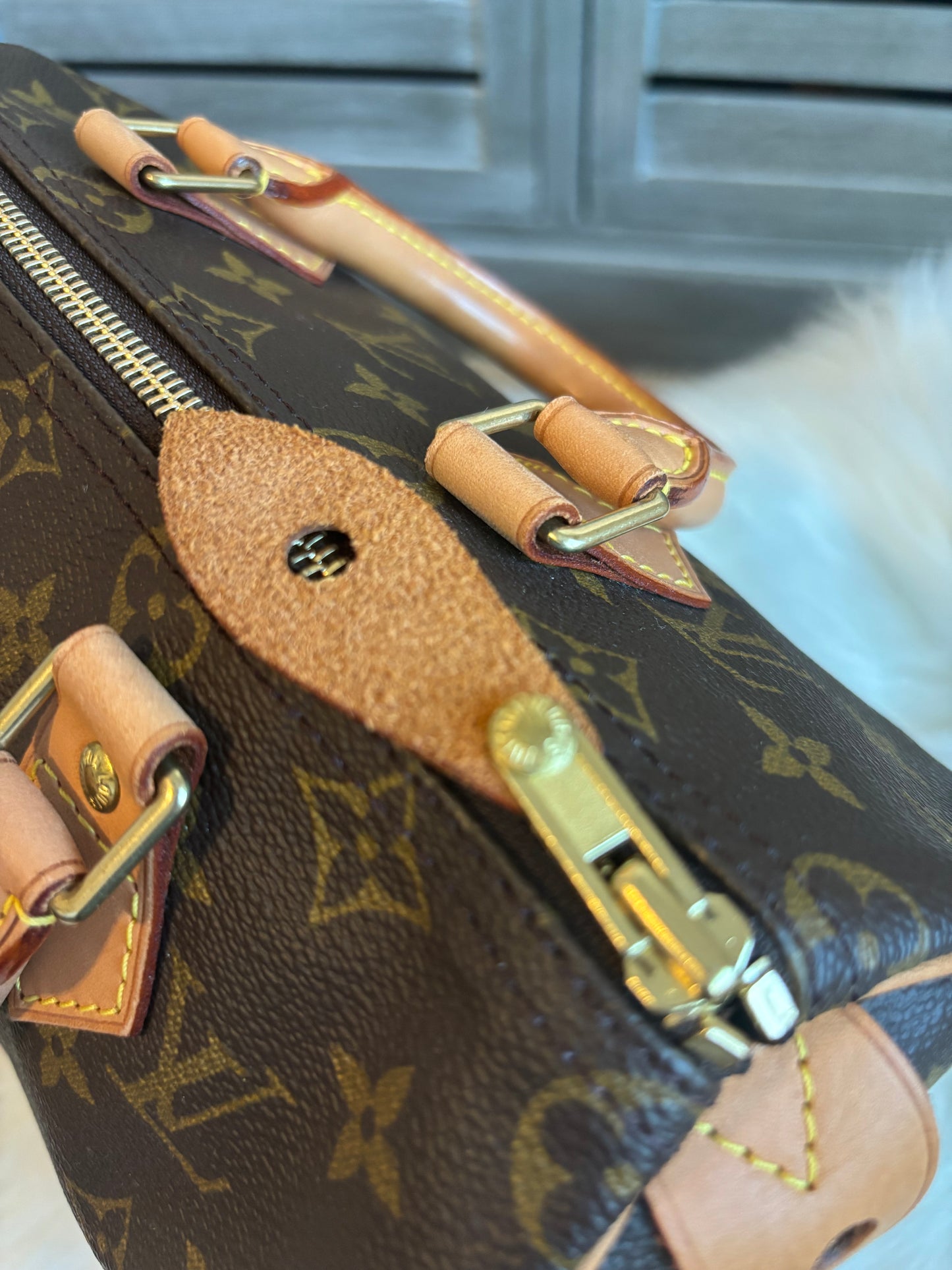 Louis Vuitton Speedy 25