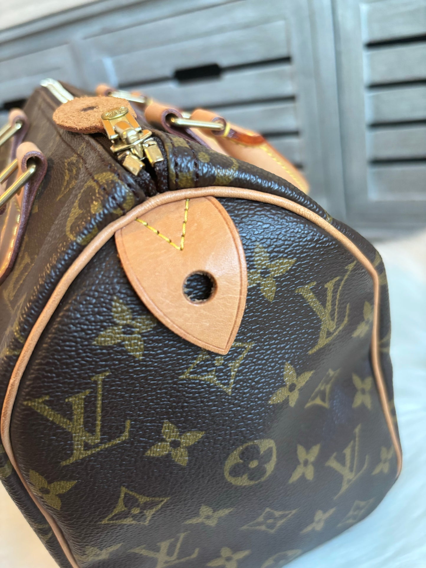 Louis Vuitton Speedy 25