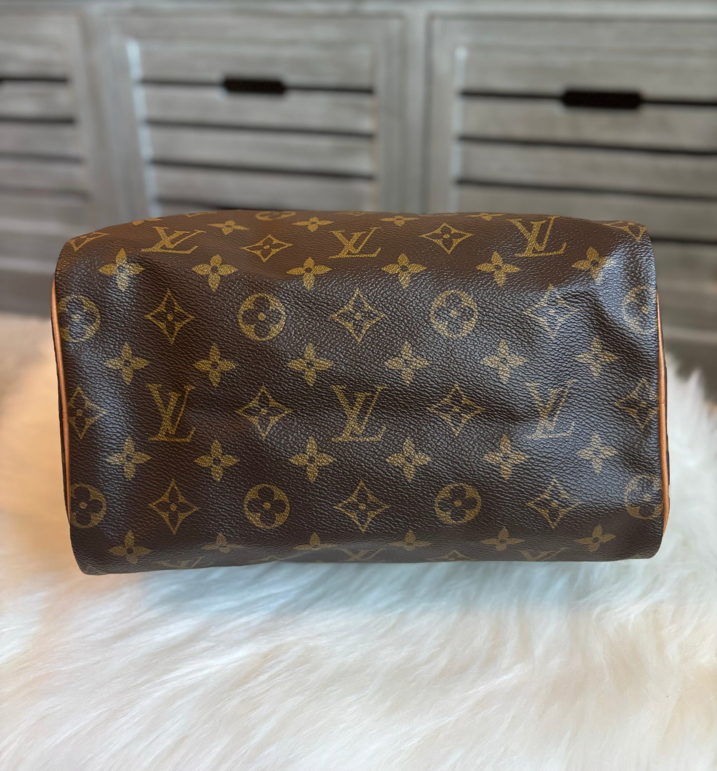 Louis Vuitton Speedy 25