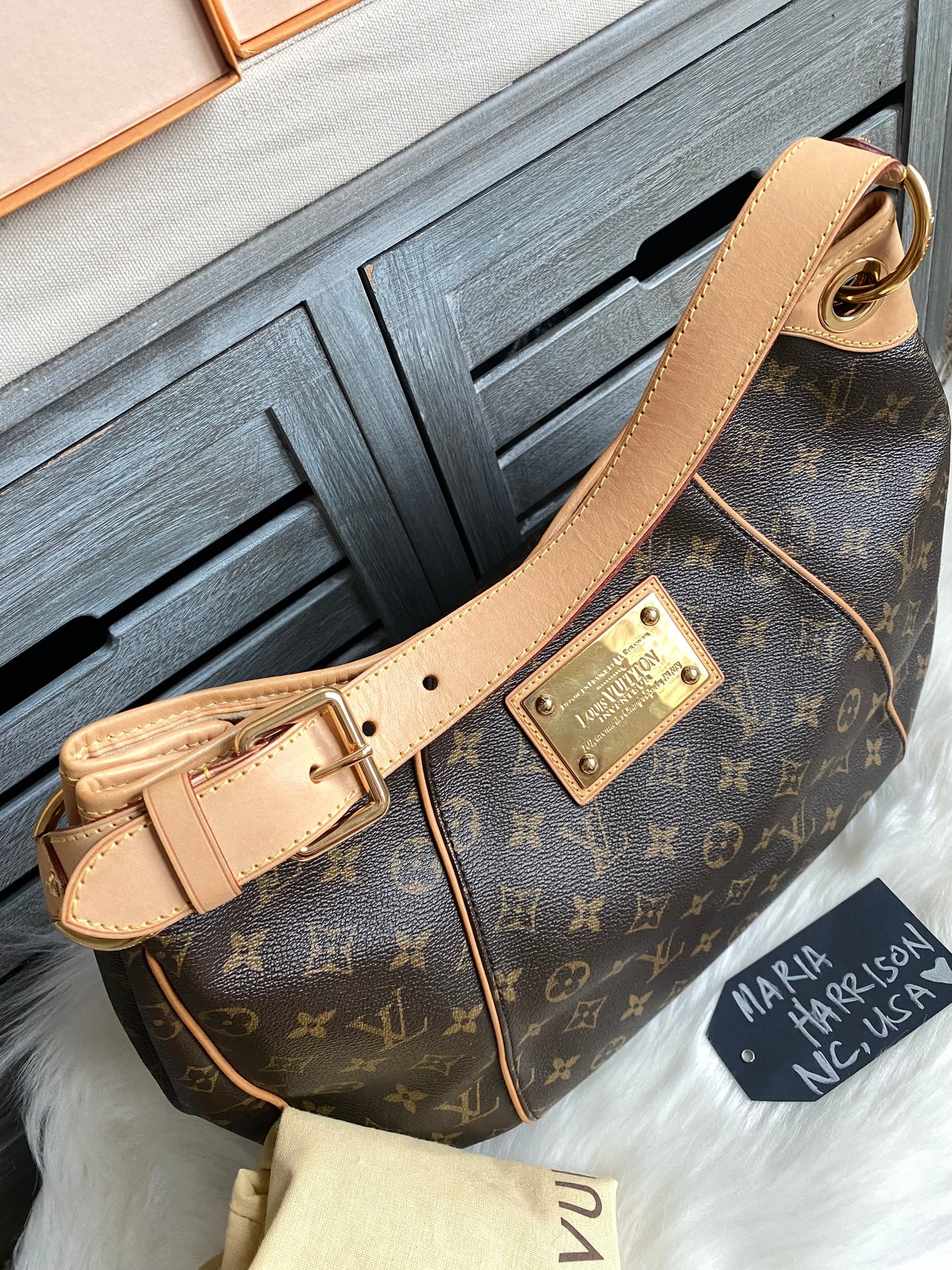 Louis Vuitton Galliera PM Monogram