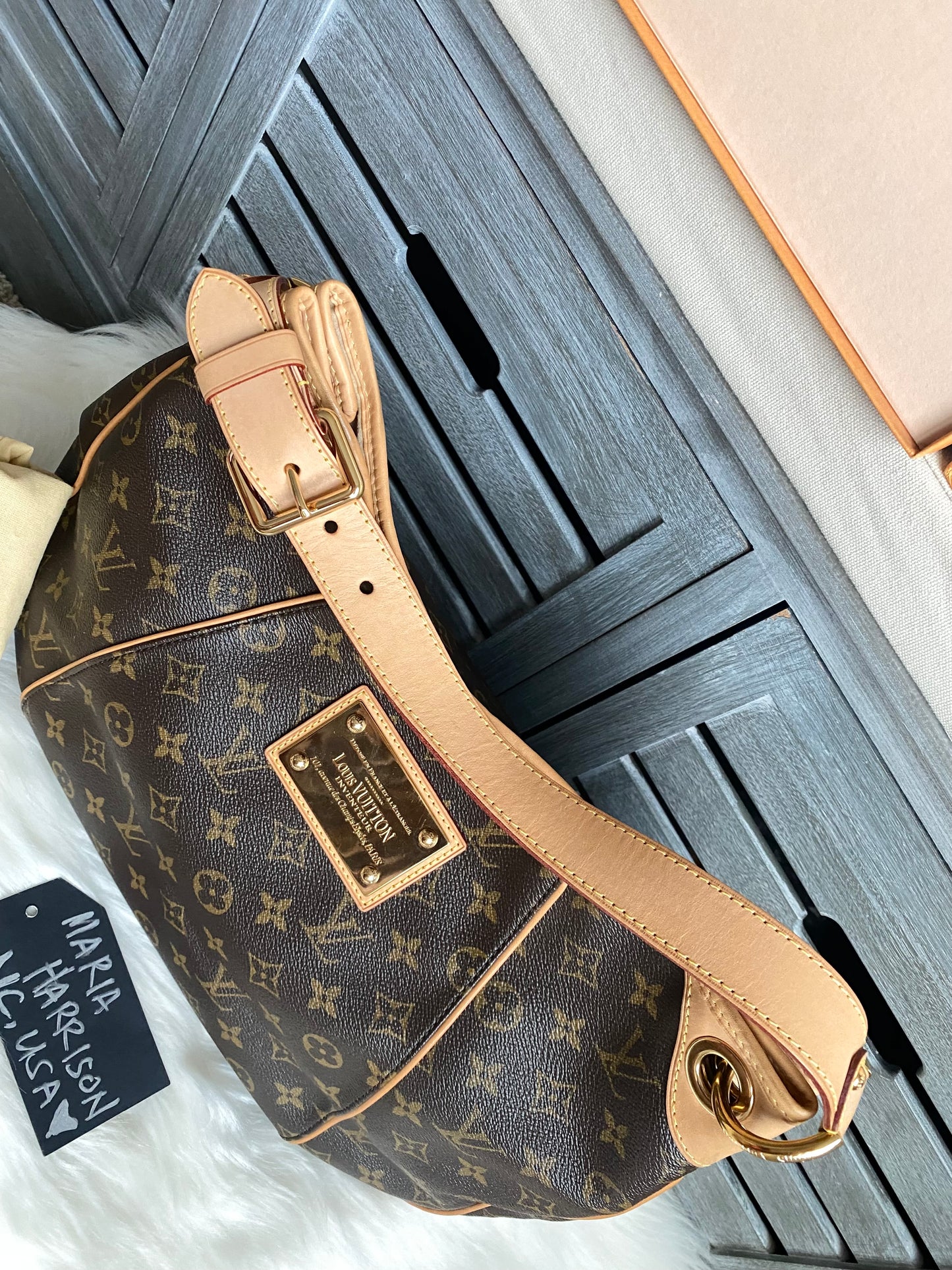 Louis Vuitton Galliera PM Monogram