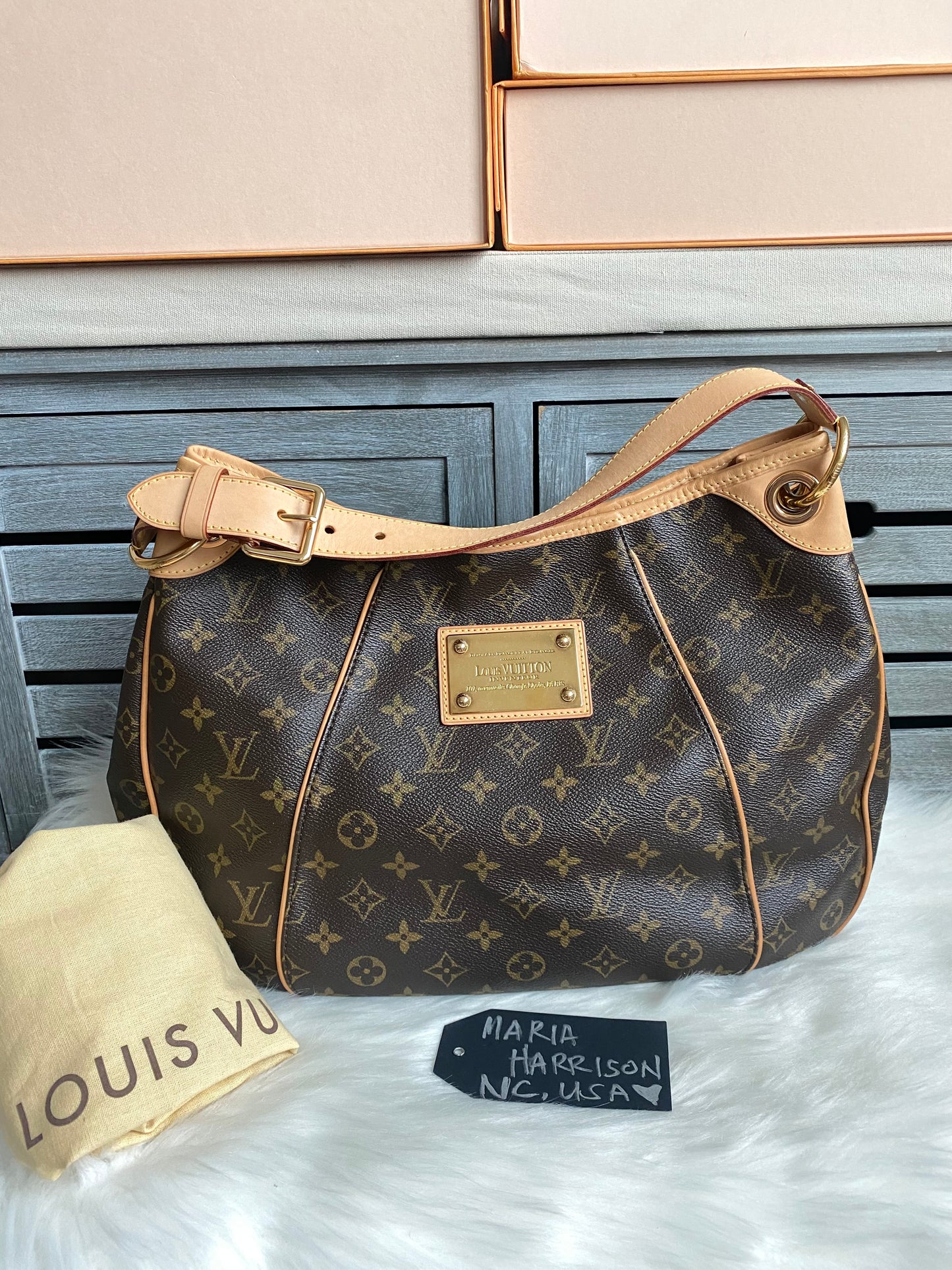 Louis Vuitton Galliera PM Monogram