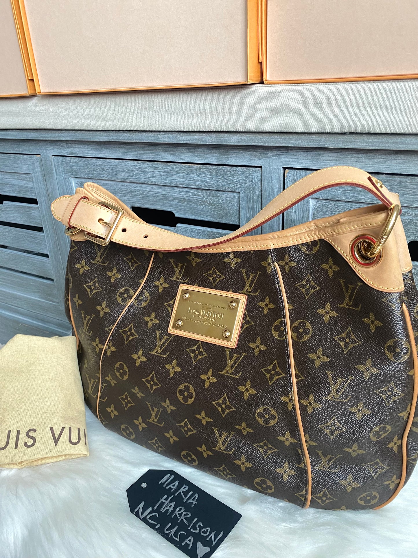 Louis Vuitton Galliera PM Monogram