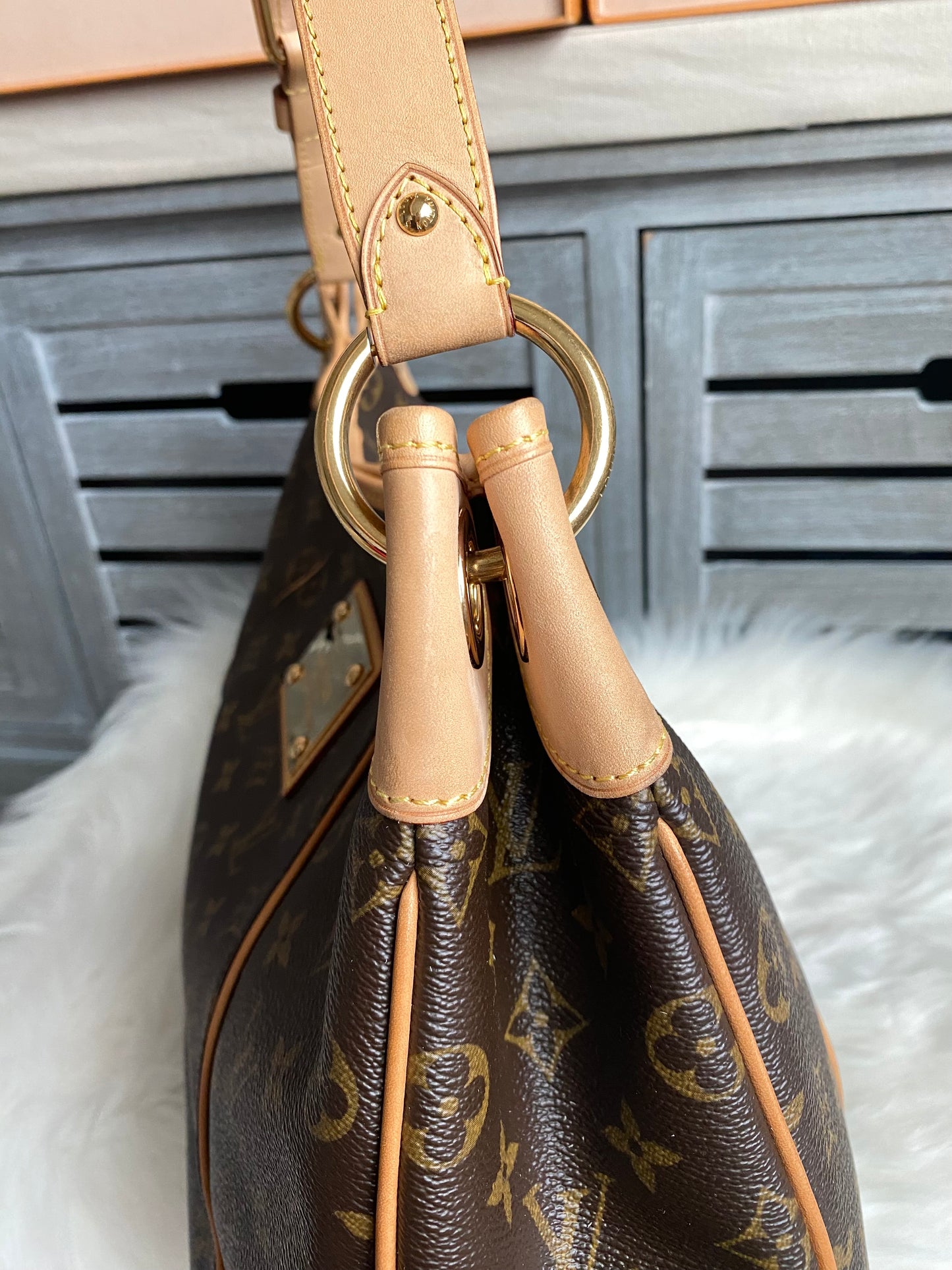 Louis Vuitton Galliera PM Monogram