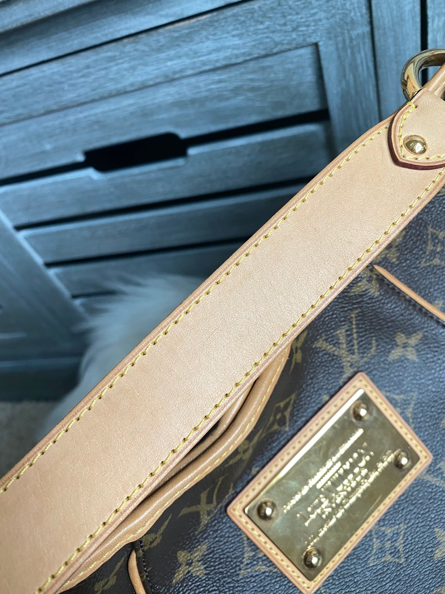 Louis Vuitton Galliera PM Monogram