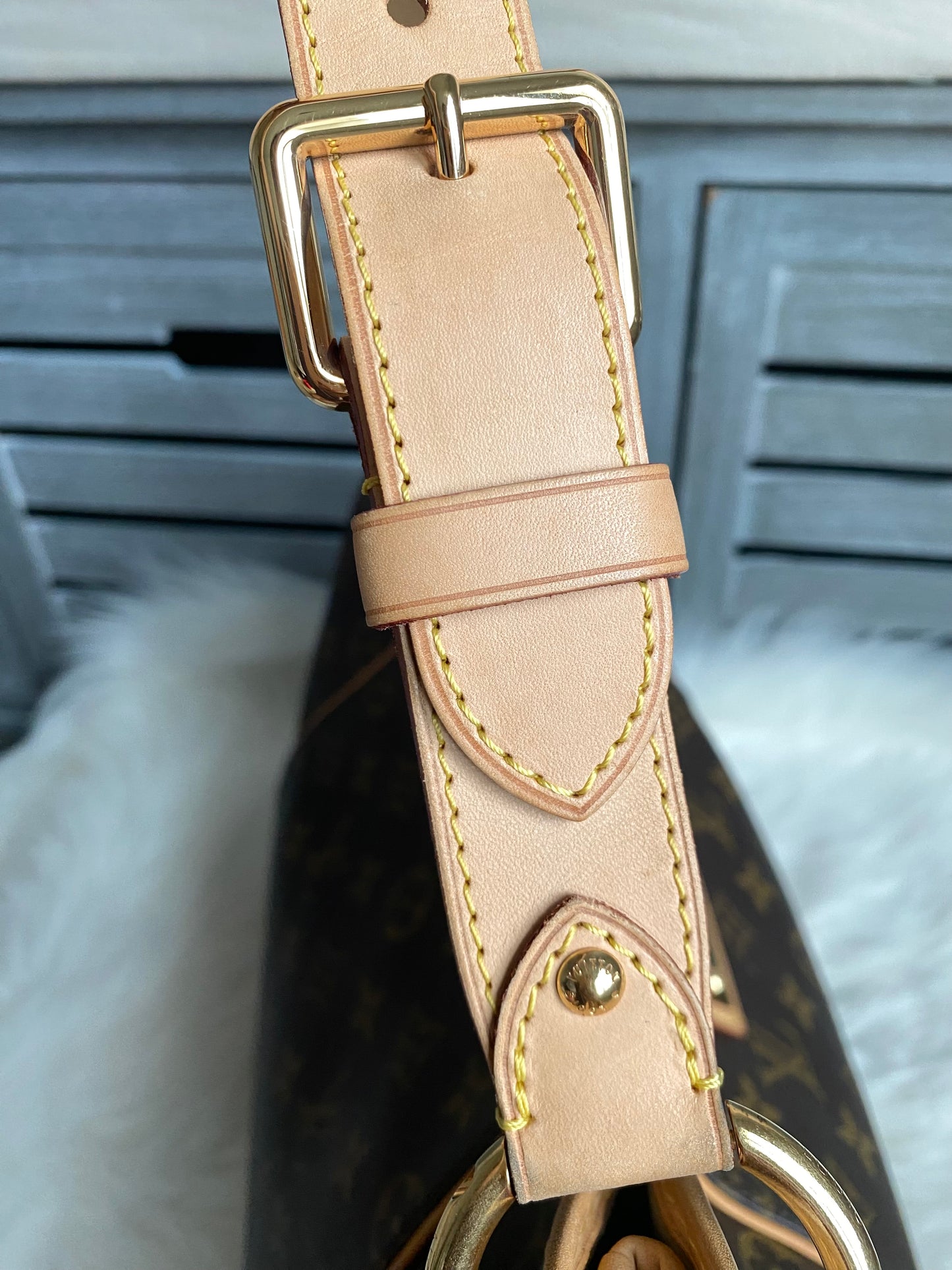 Louis Vuitton Galliera PM Monogram