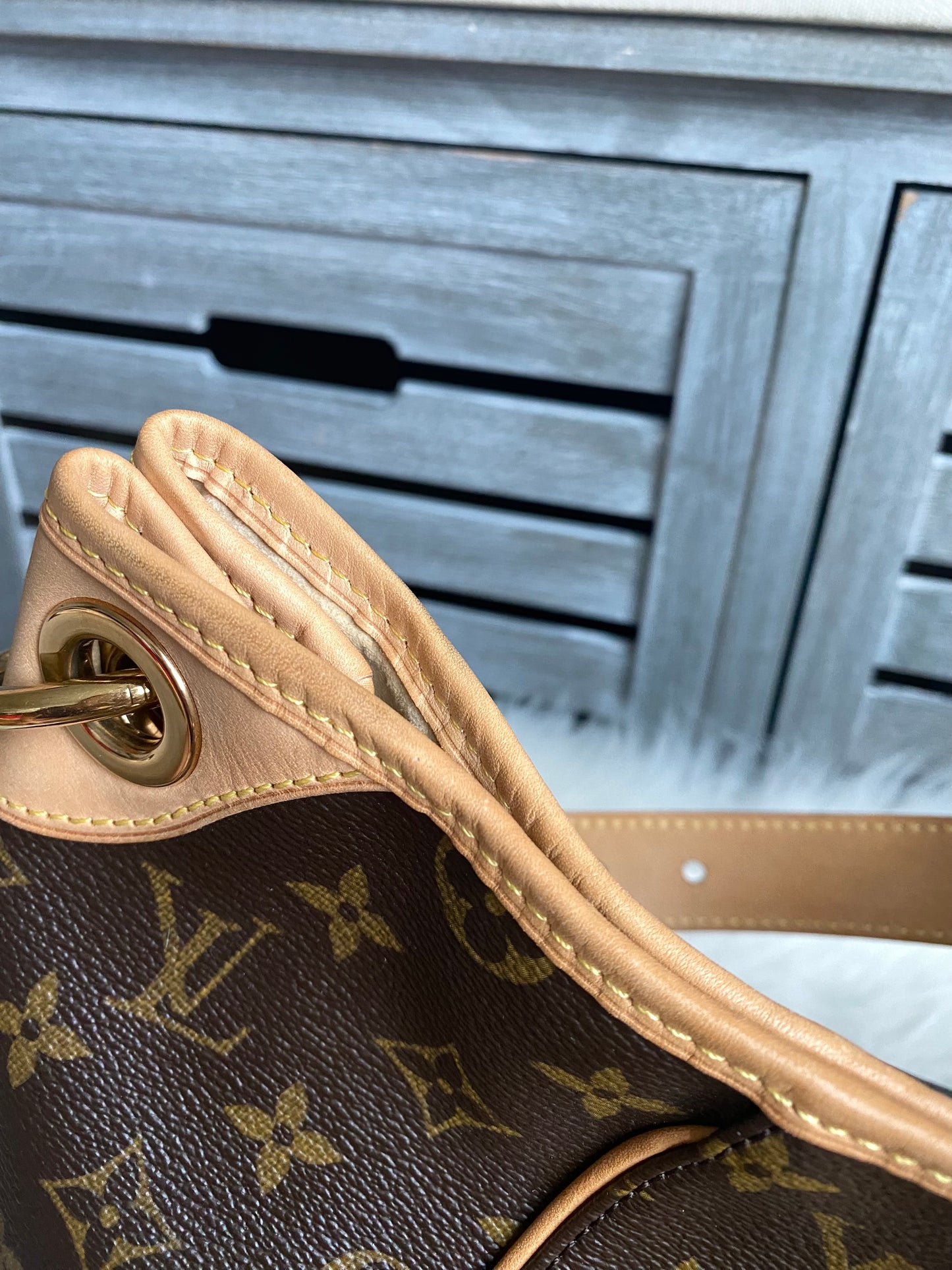 Louis Vuitton Galliera PM Monogram