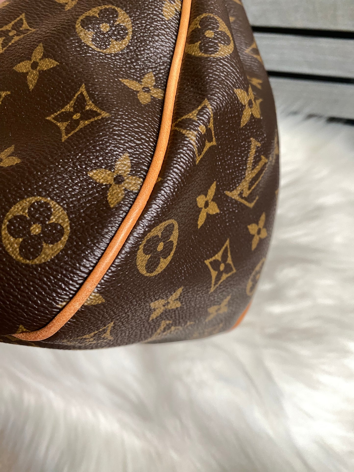 Louis Vuitton Galliera PM Monogram